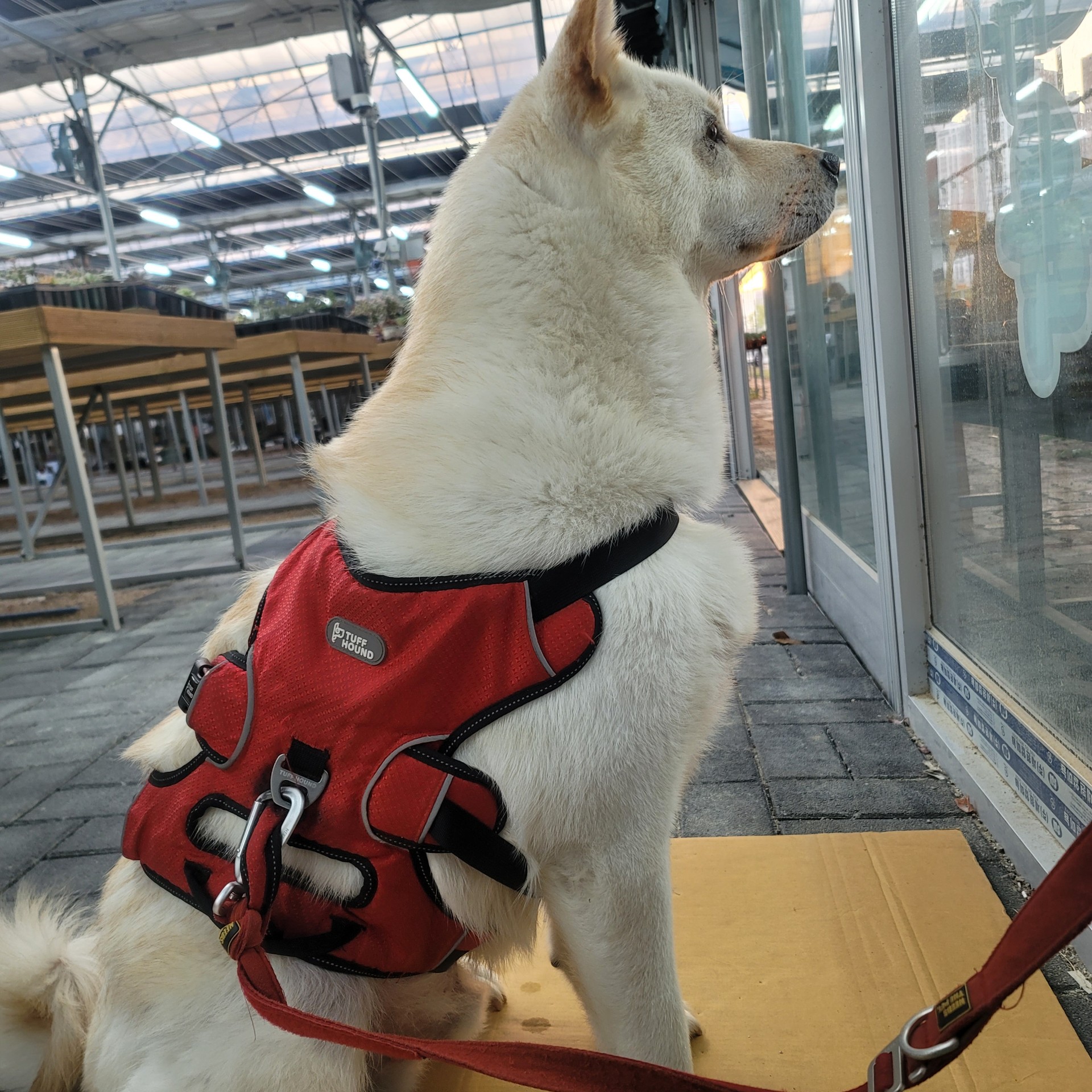 귀여울수밖에ㅡ! 🐥