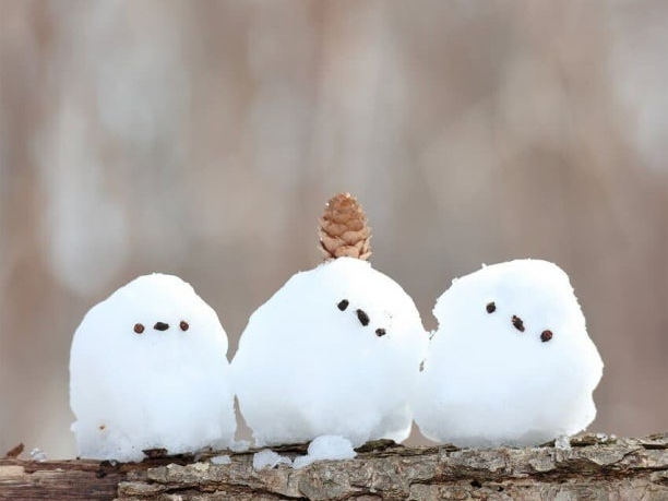 기운 찬 플리 방송 |포근포근