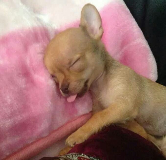 케키 불꽅소통🔥