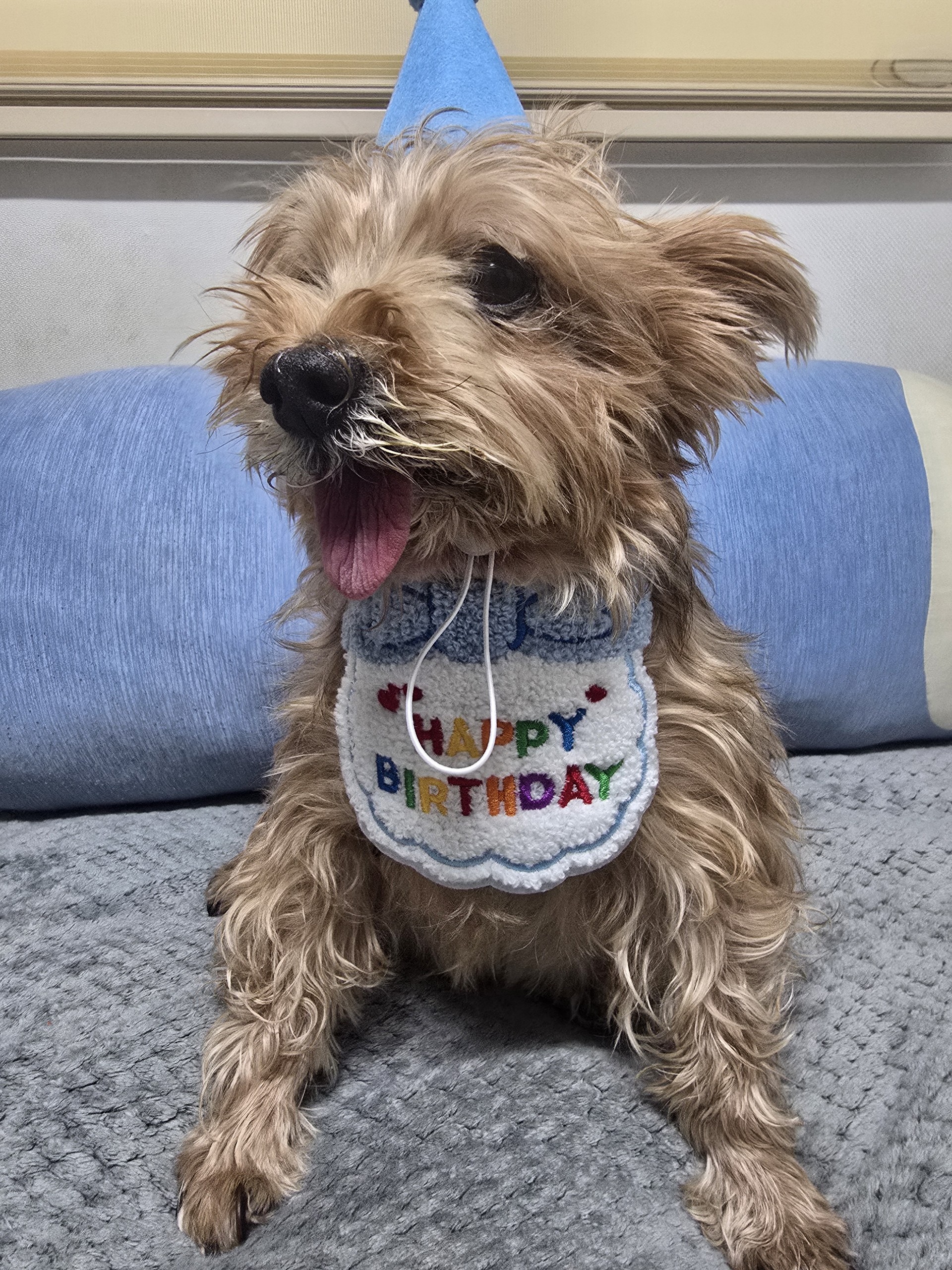 너란 갱얼쥐 🎂💙