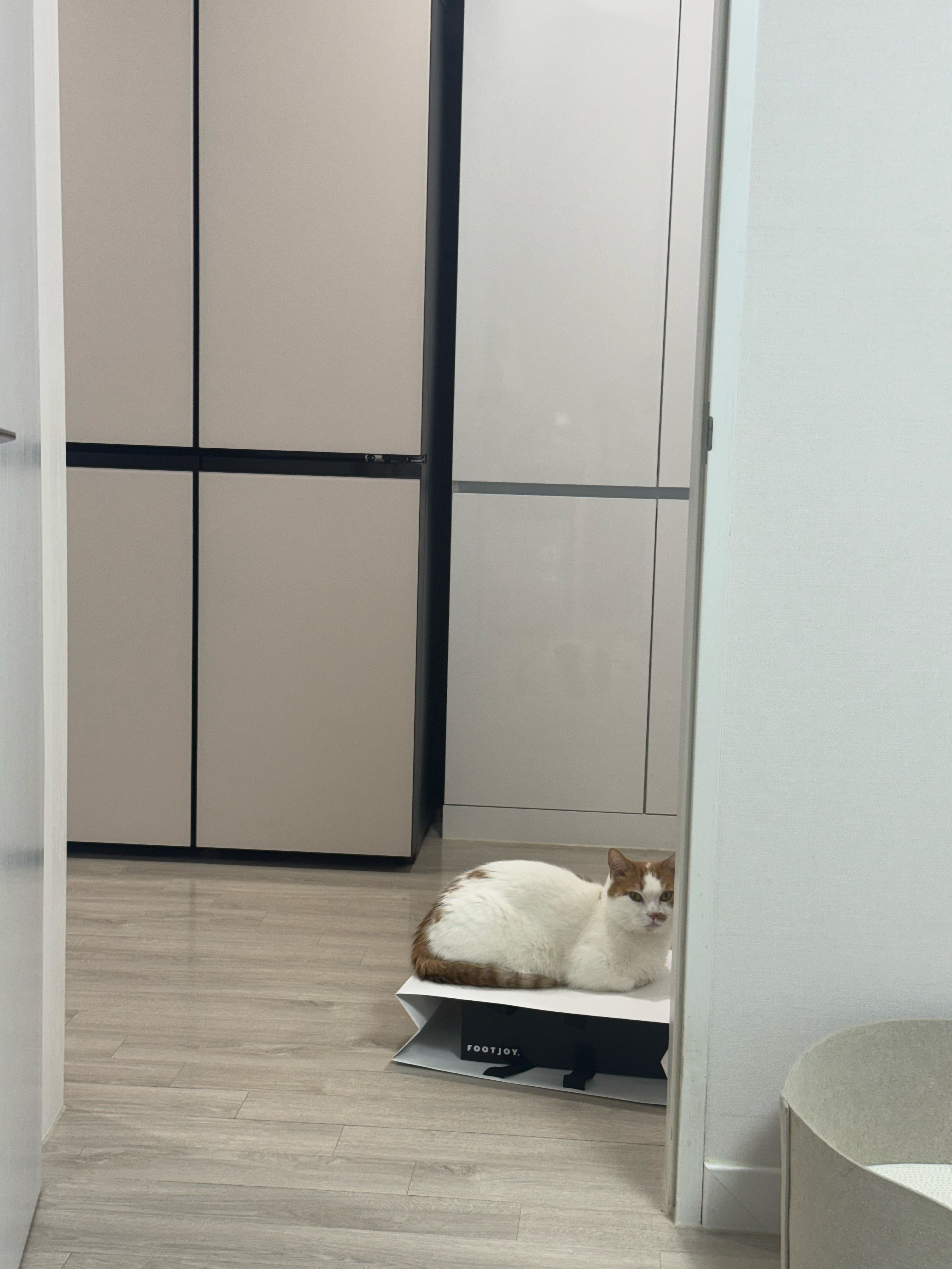 잠깐이라도 볼까 싶어서