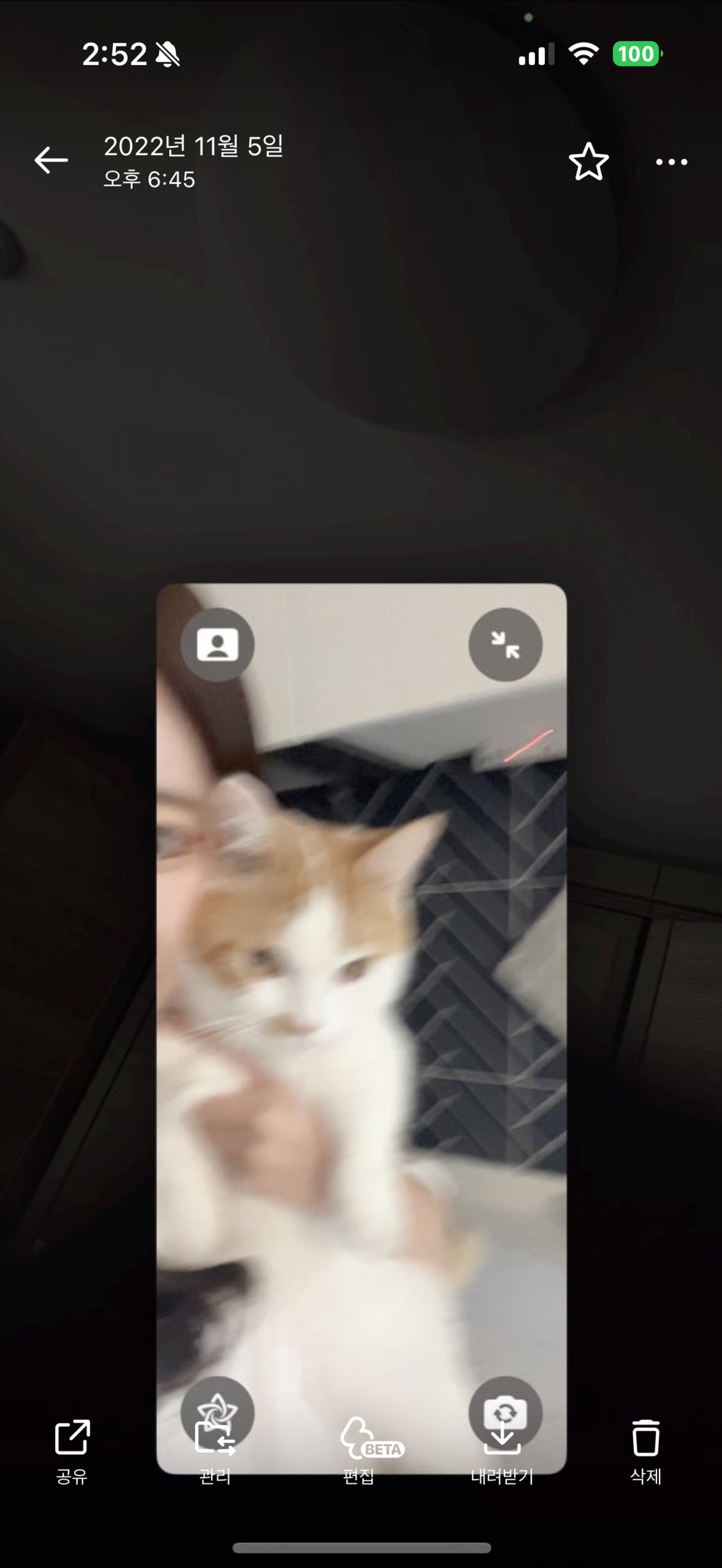 잠깐이라도 볼까 싶어서