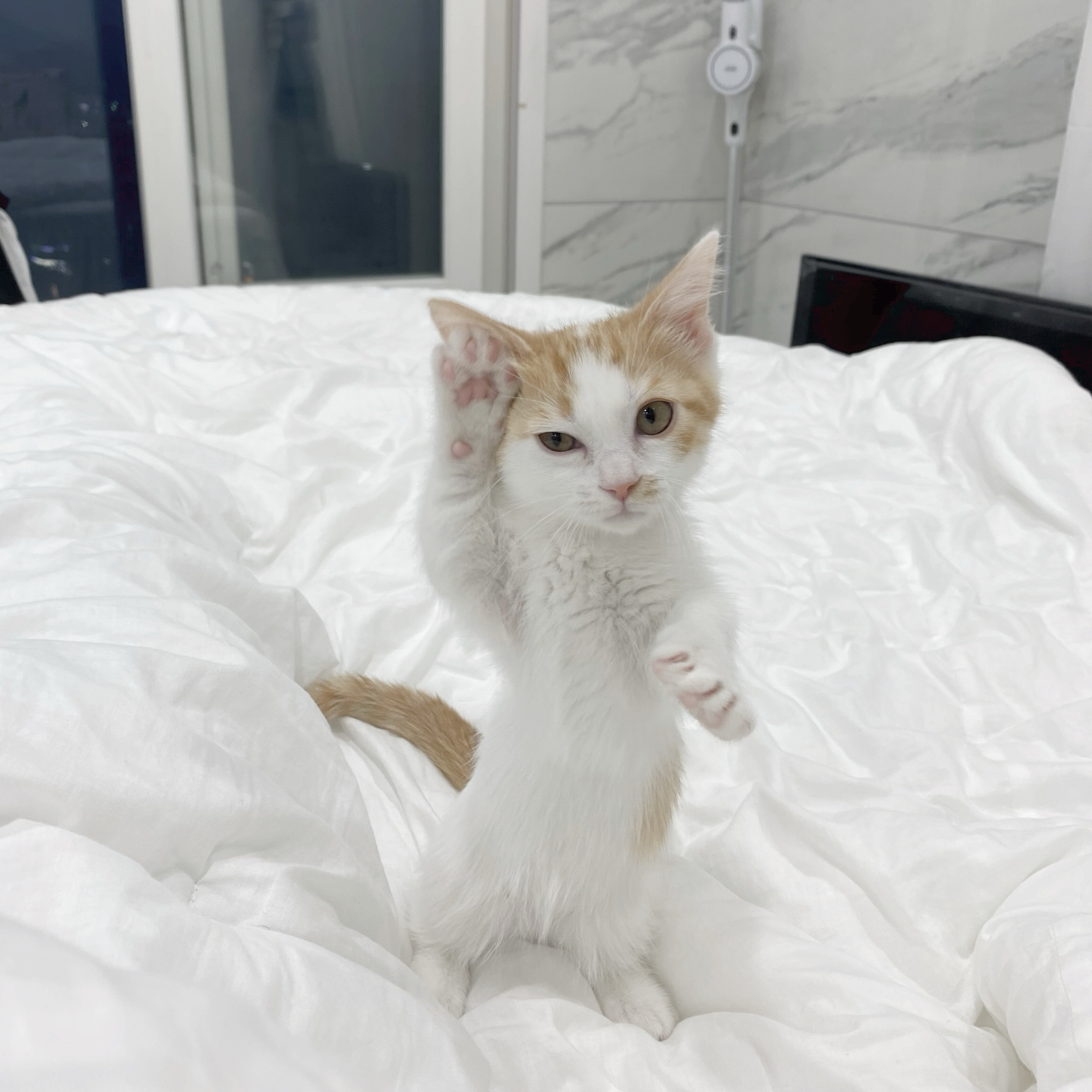 잠깐이라도 볼까 싶어서