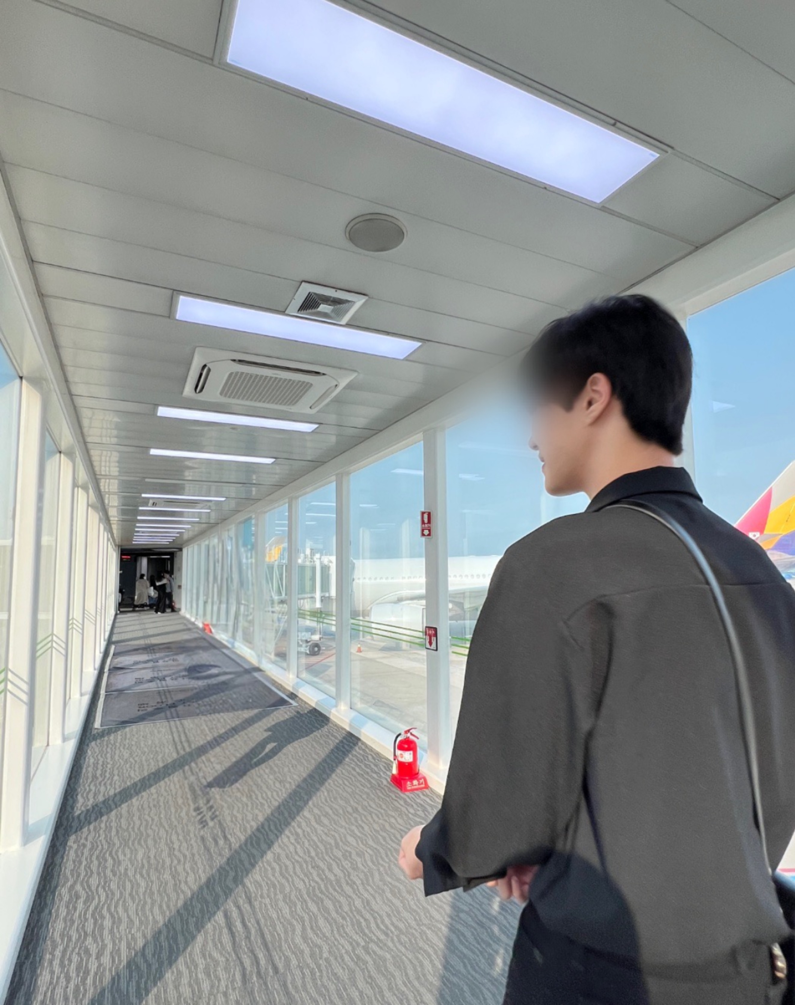 점심시간 듣기좋은 pli