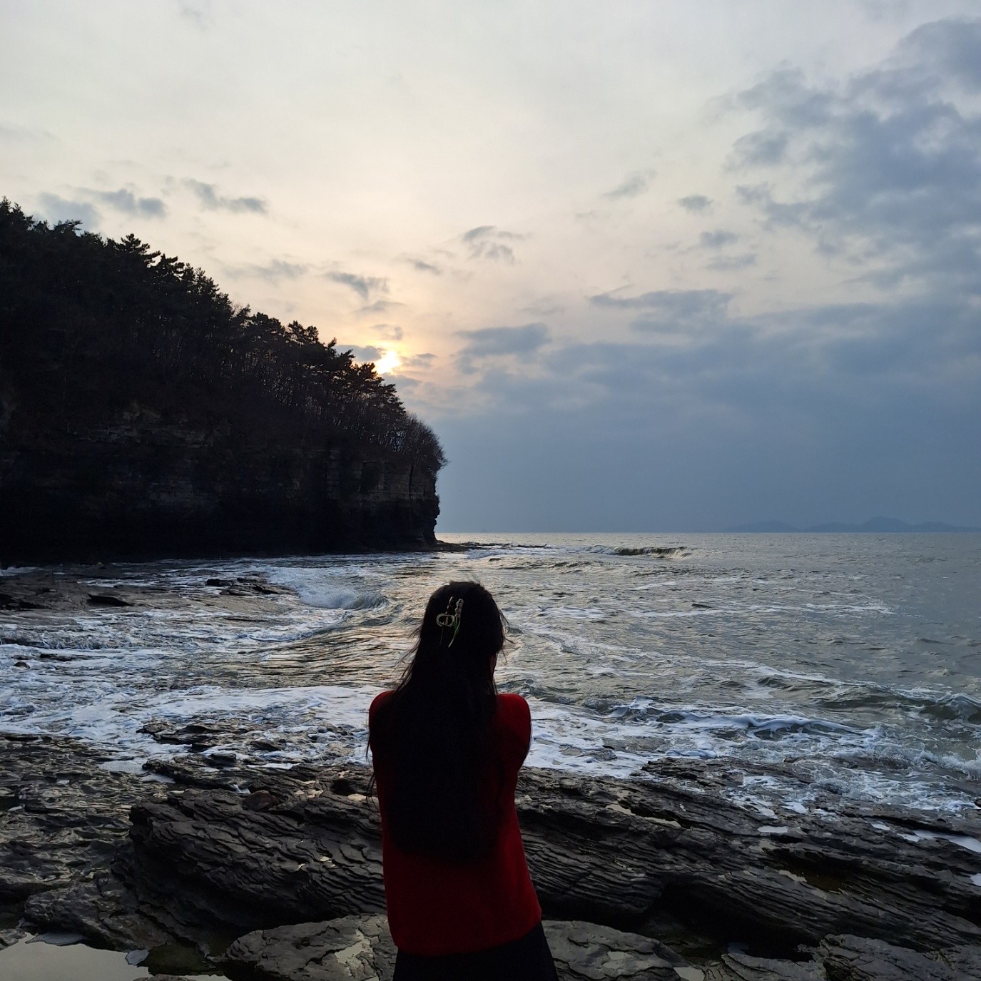 #신입 목소리의 정석,