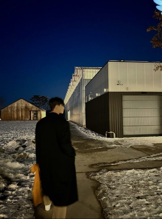 나무의 위로🎧 2.0