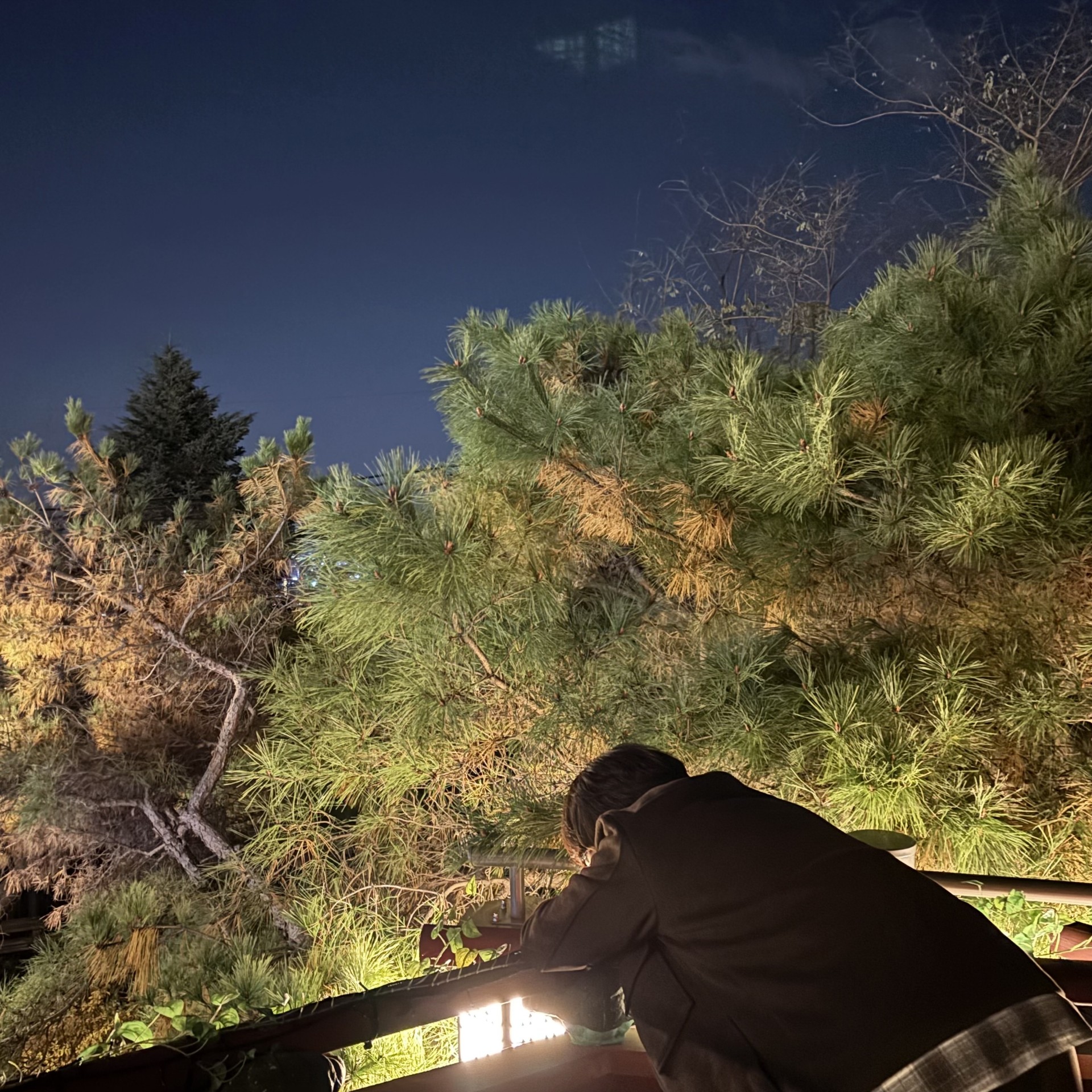 마감 감사합니다! 룰렛 20개 꽃다발