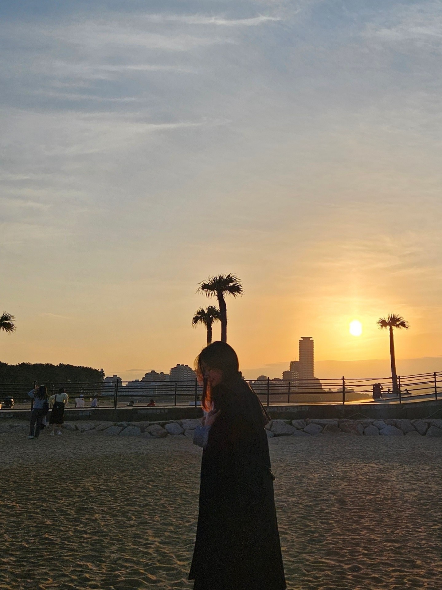 화요일, 노우래