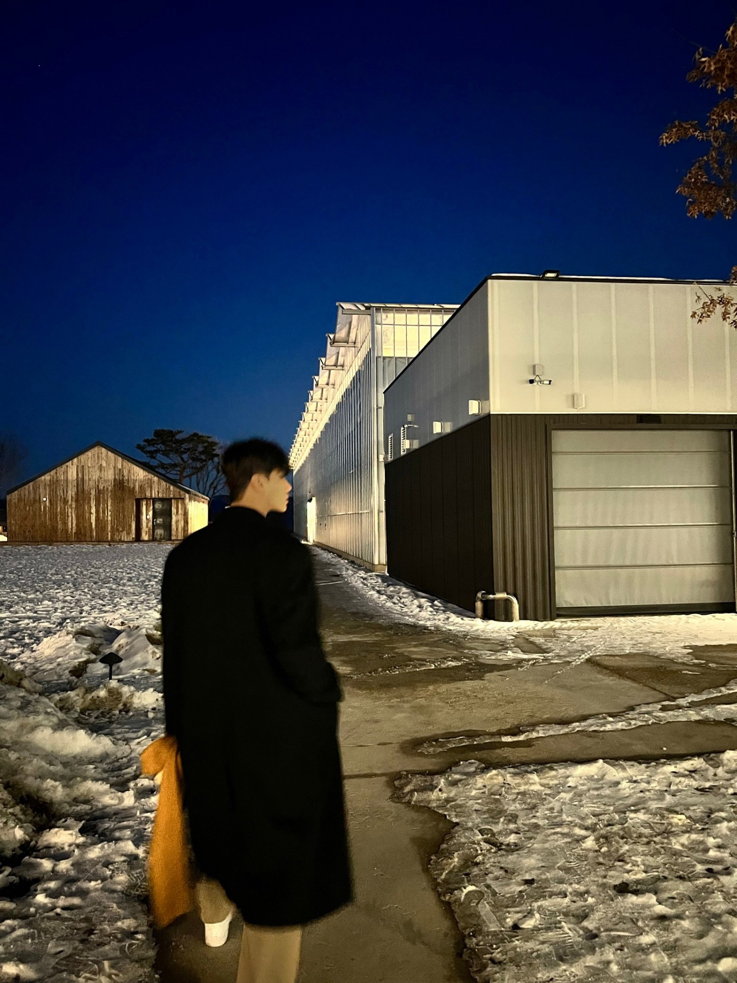 나무의 짧은 위로🎧 2.0