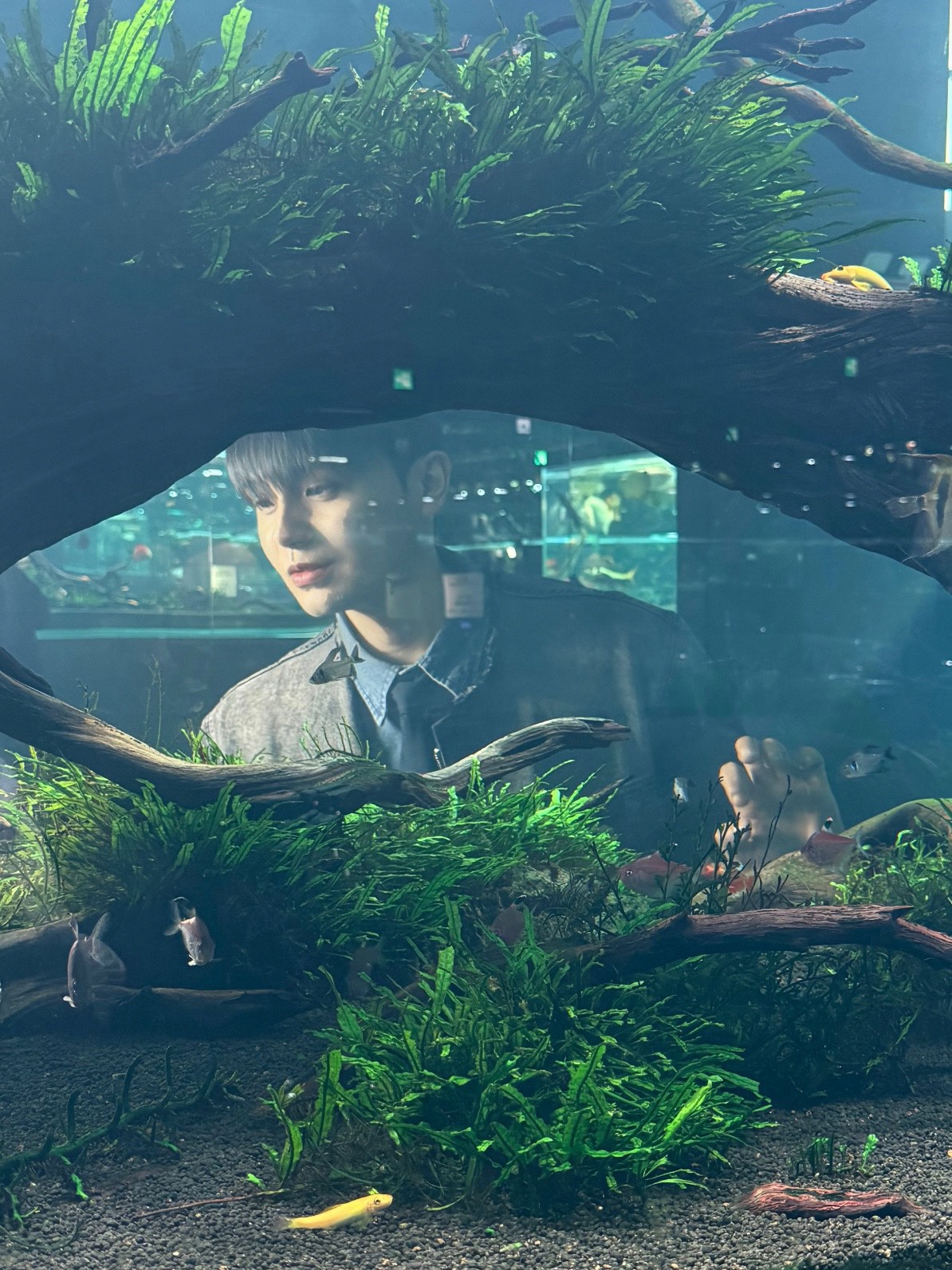 #솔로탈출 코인 소개팅🔥관전 ⭕️