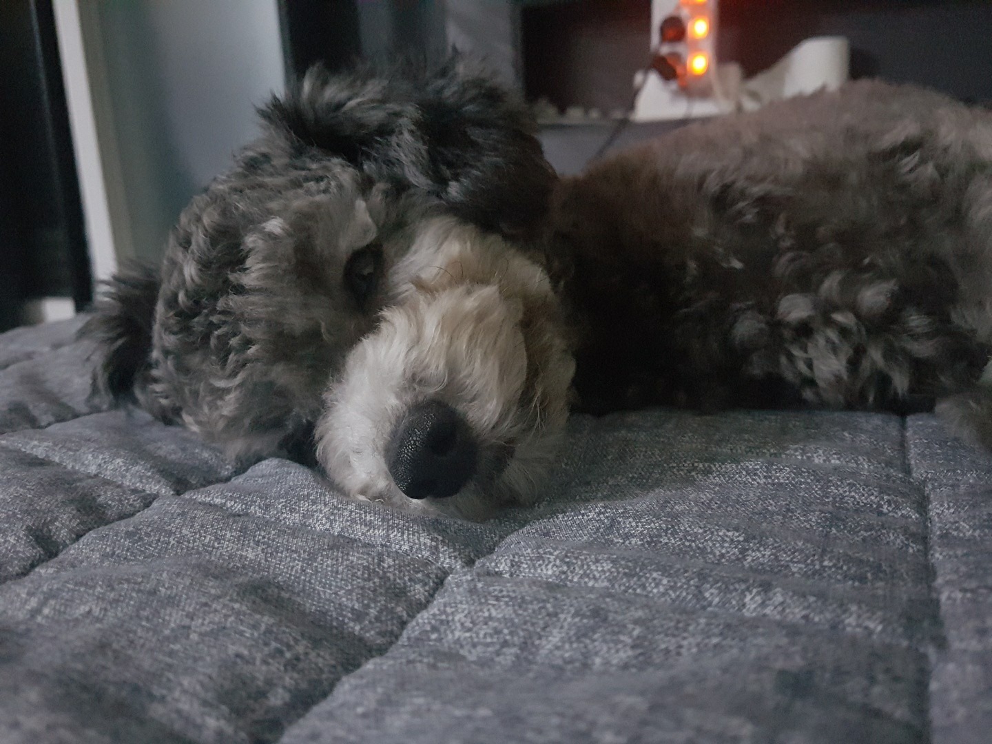 ❤ 감사합니다요 ❤