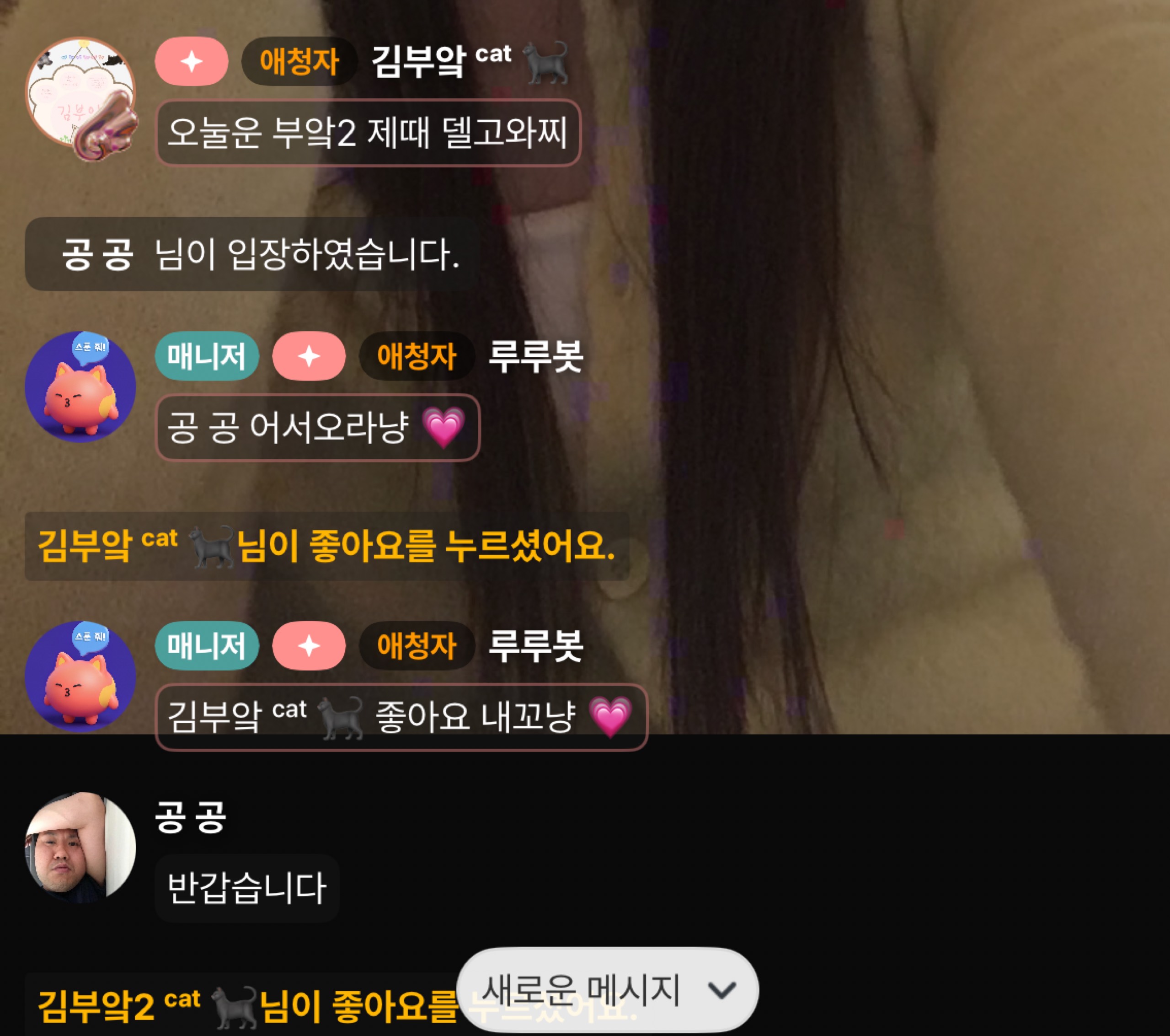 밤에도 냥냥하게 💗