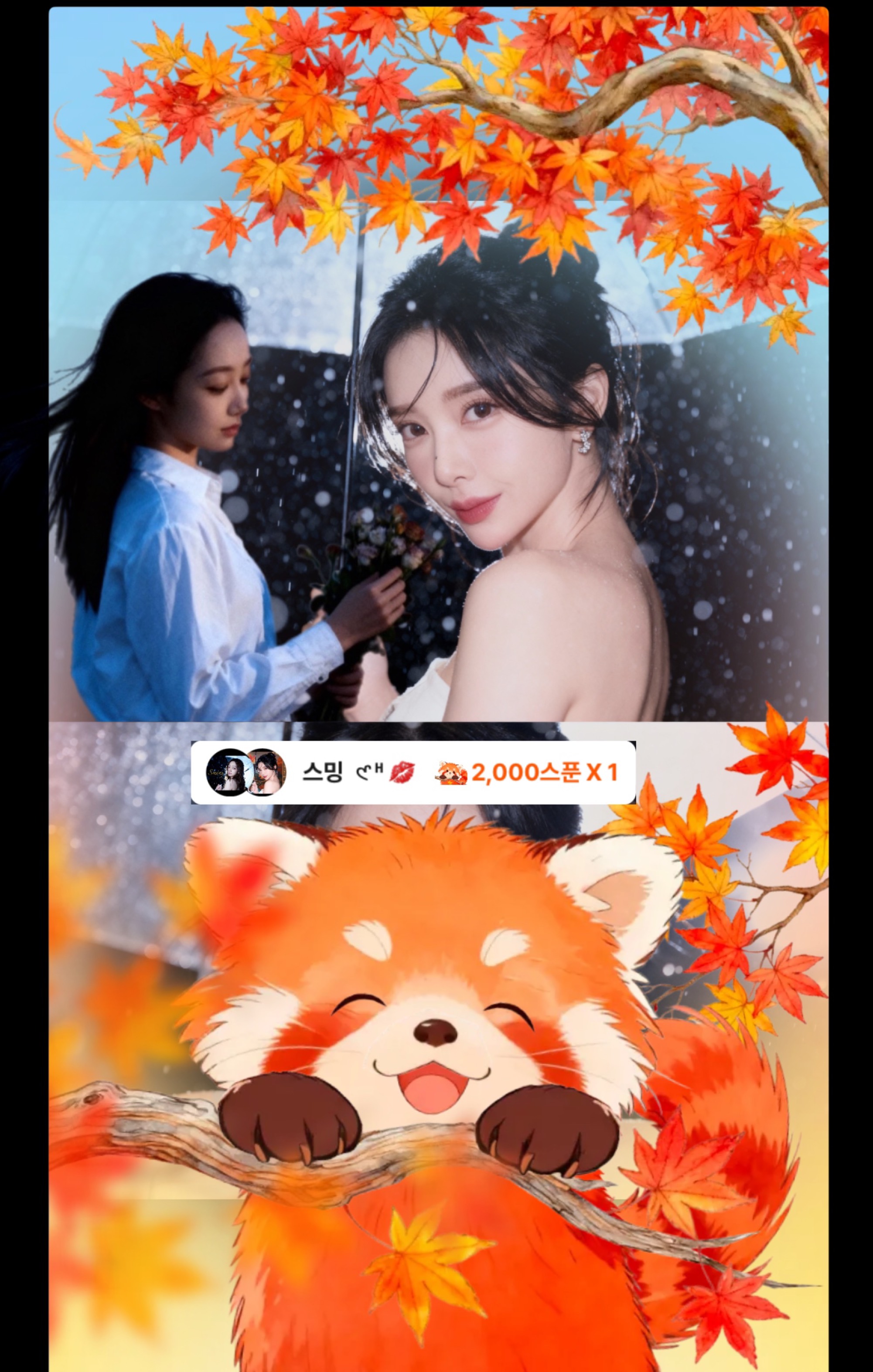 잔잔한 밤🌙✨