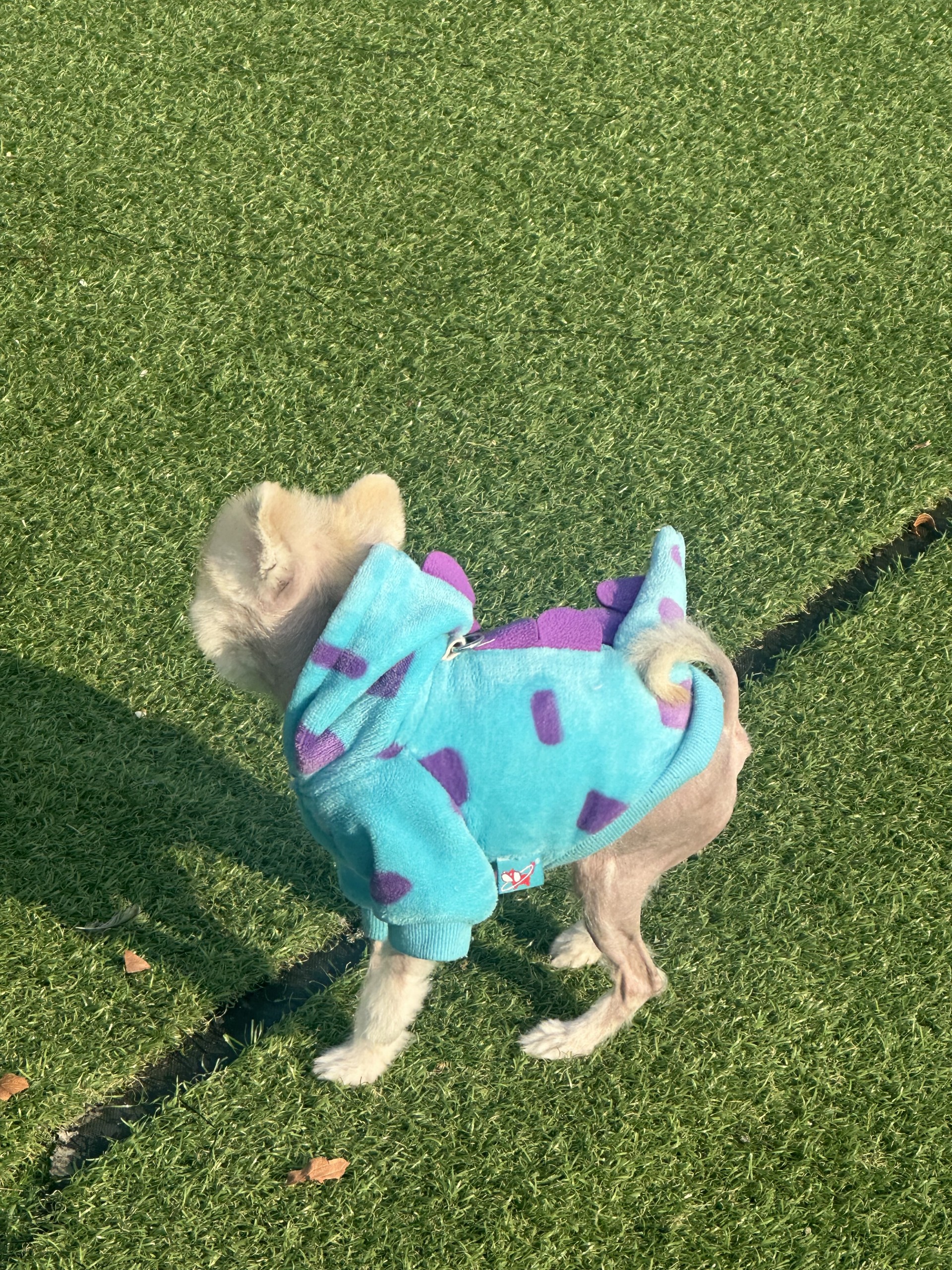 # 6시30분에만나요~! 담좌 알렉스