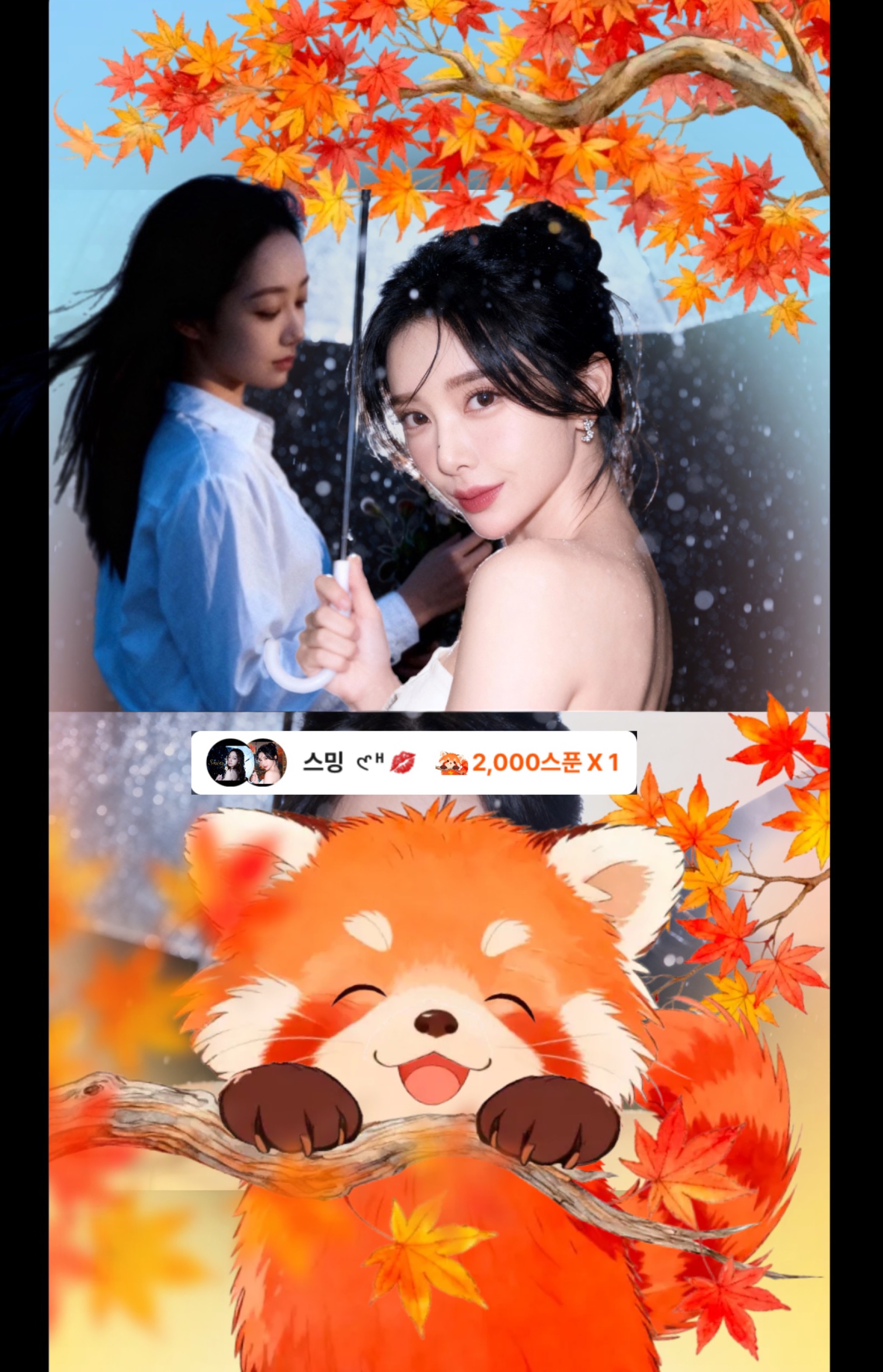 잔잔한 밤🌙✨