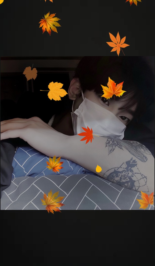 편안할거에요 🌙