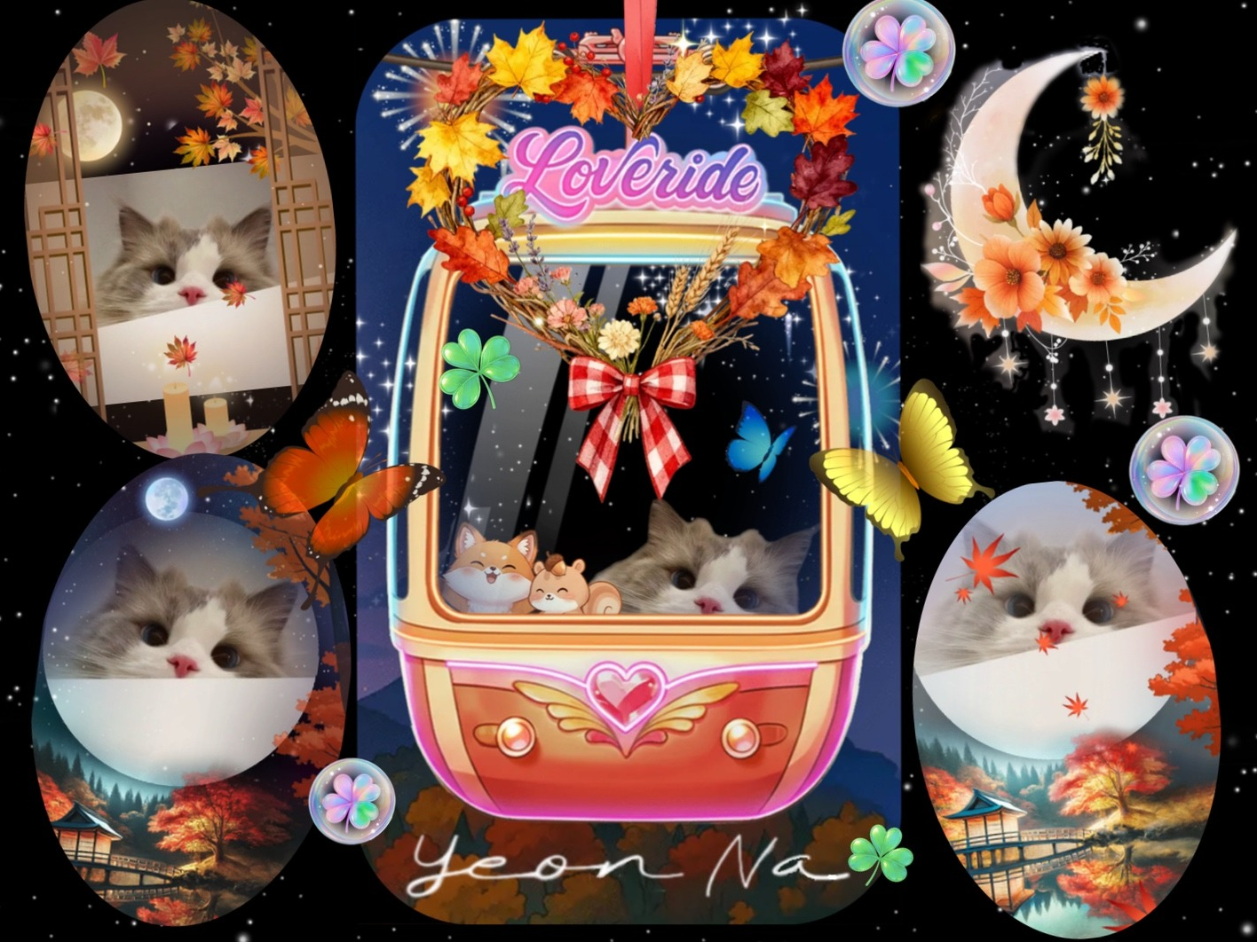 오늘은 늦게 잘까, 