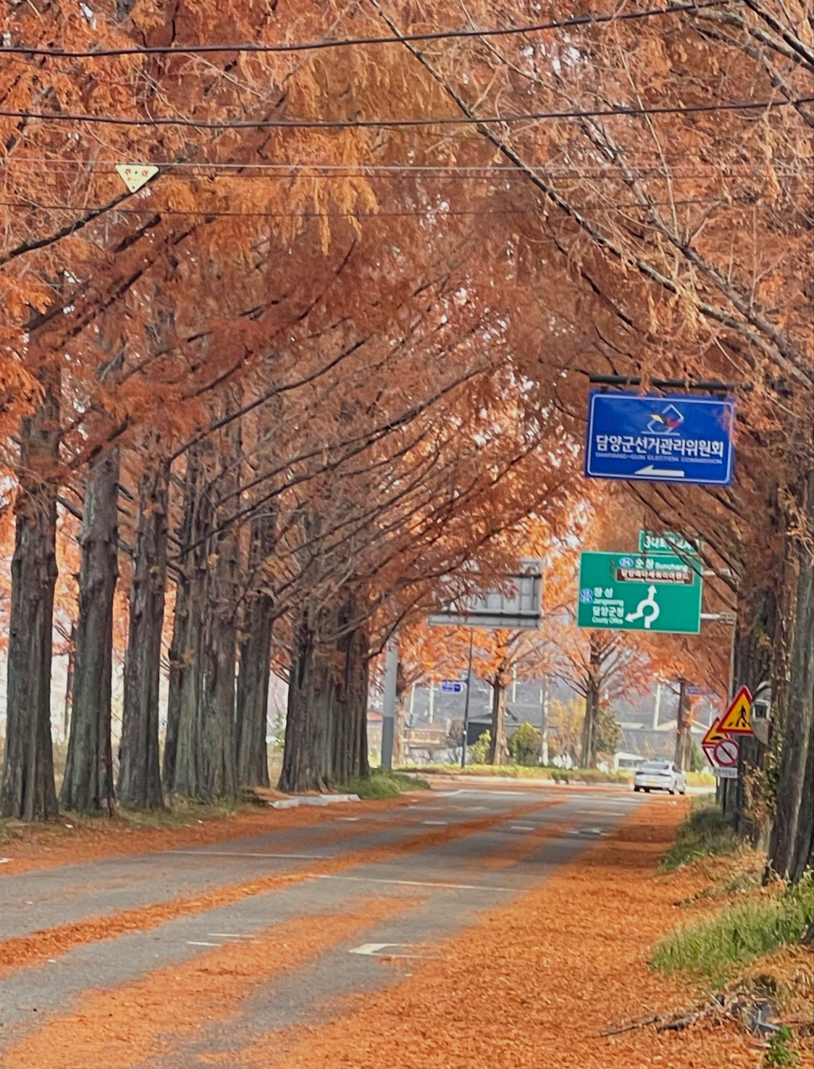 피아노 연주 라이부!🎹👏