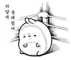 금요일이다람쥐