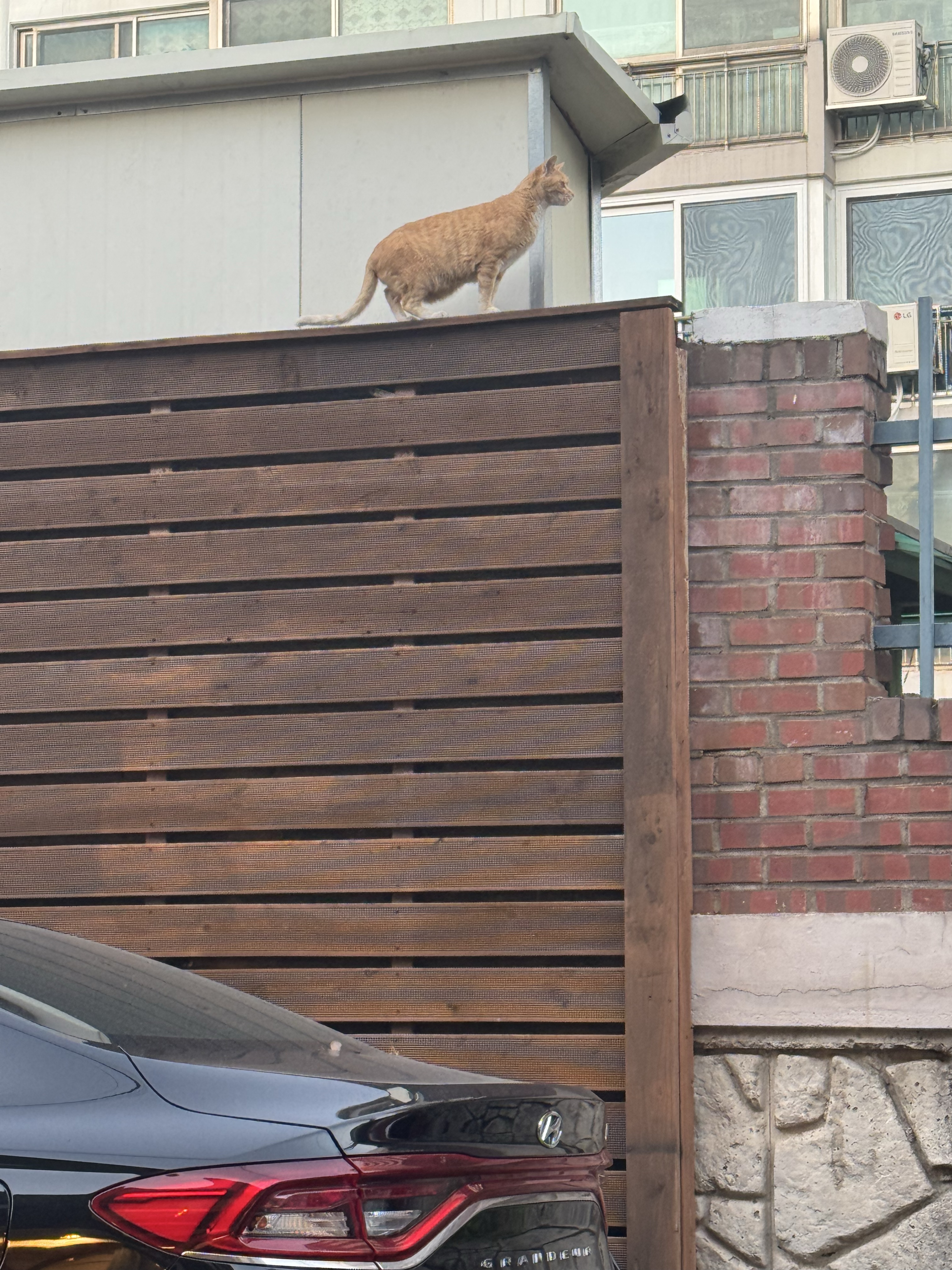 24시간방송중 ㅋㅋ 2/24