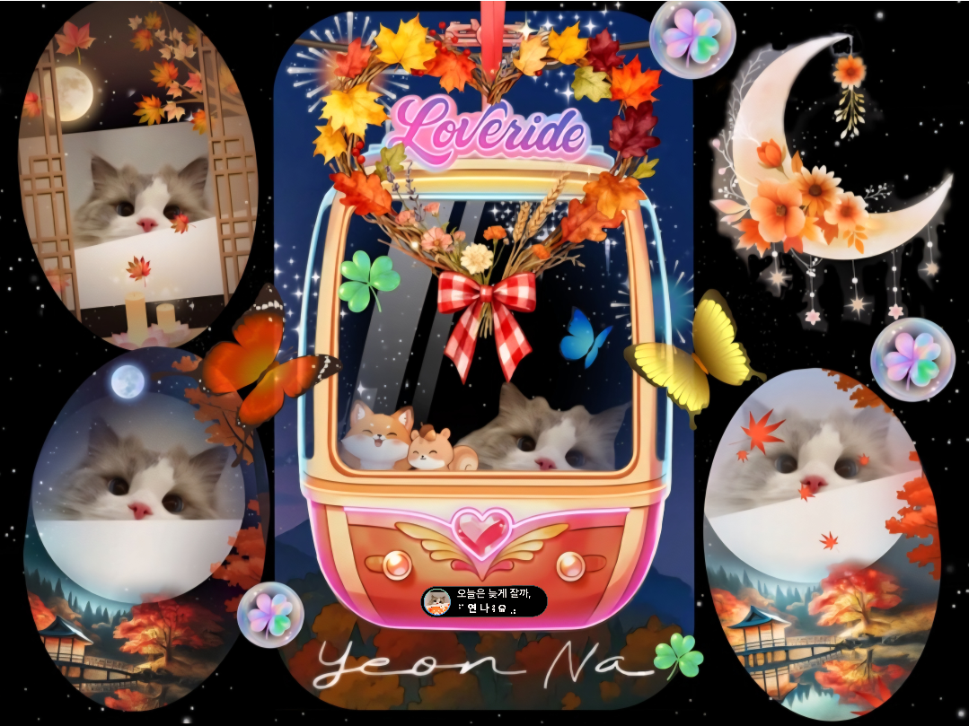 오늘은 늦게 잘까, 