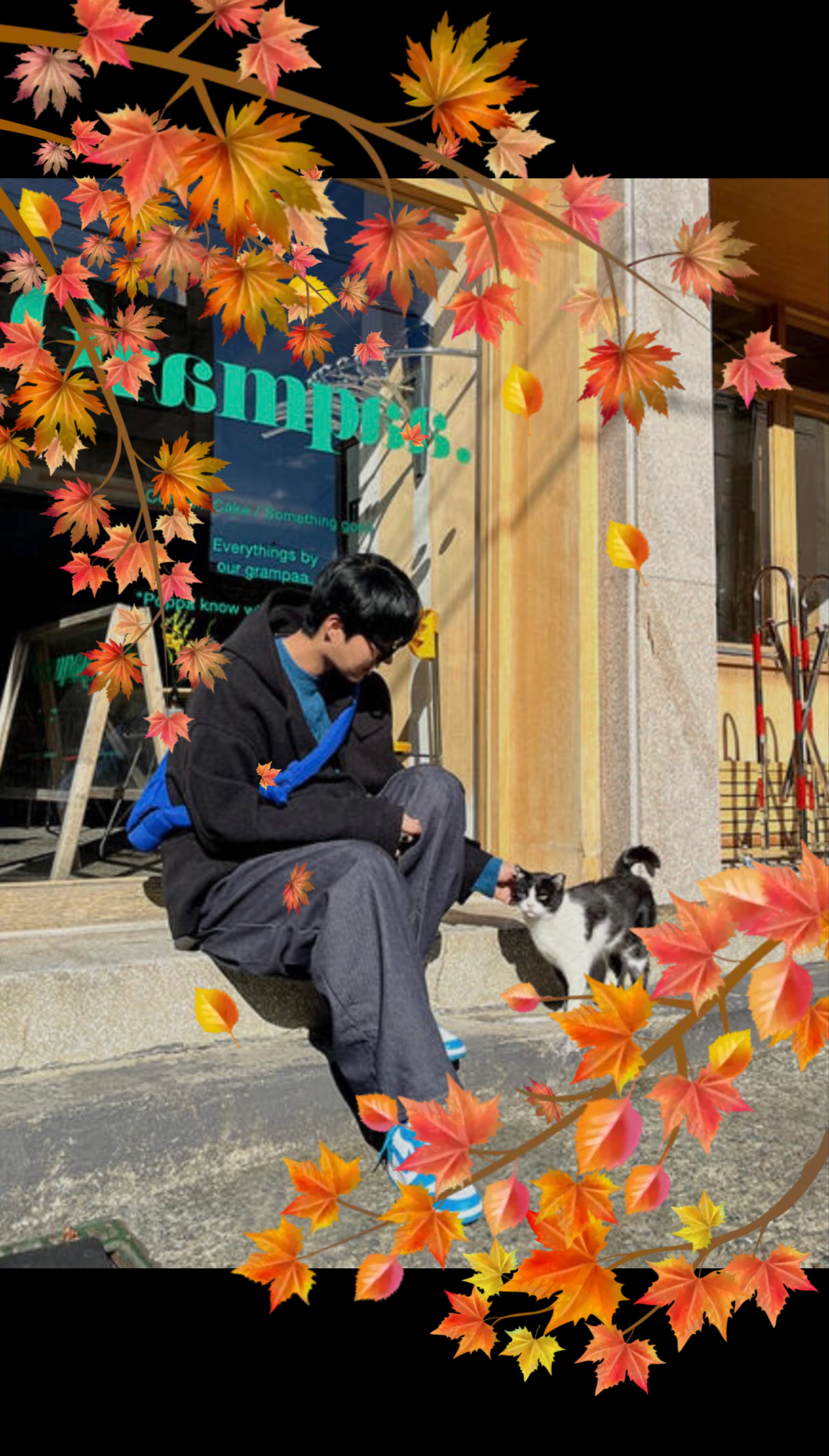 내 옆자리 올래 ,