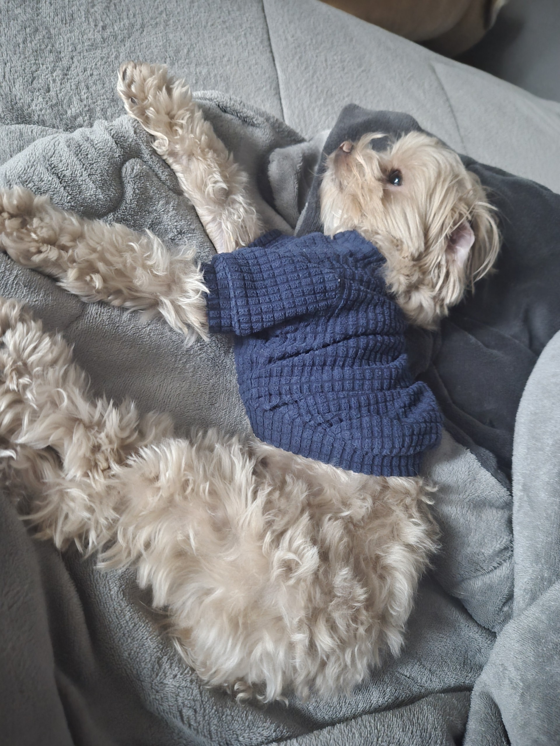 레전드오브리그