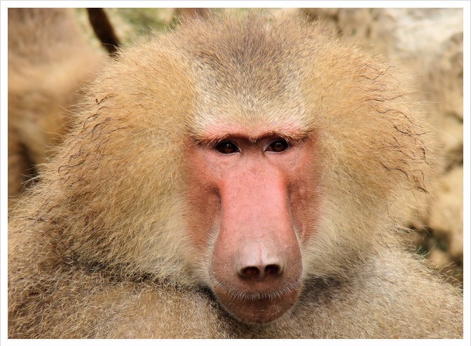 ☁️ 이불속에서 듣는 포근한 목소리☁