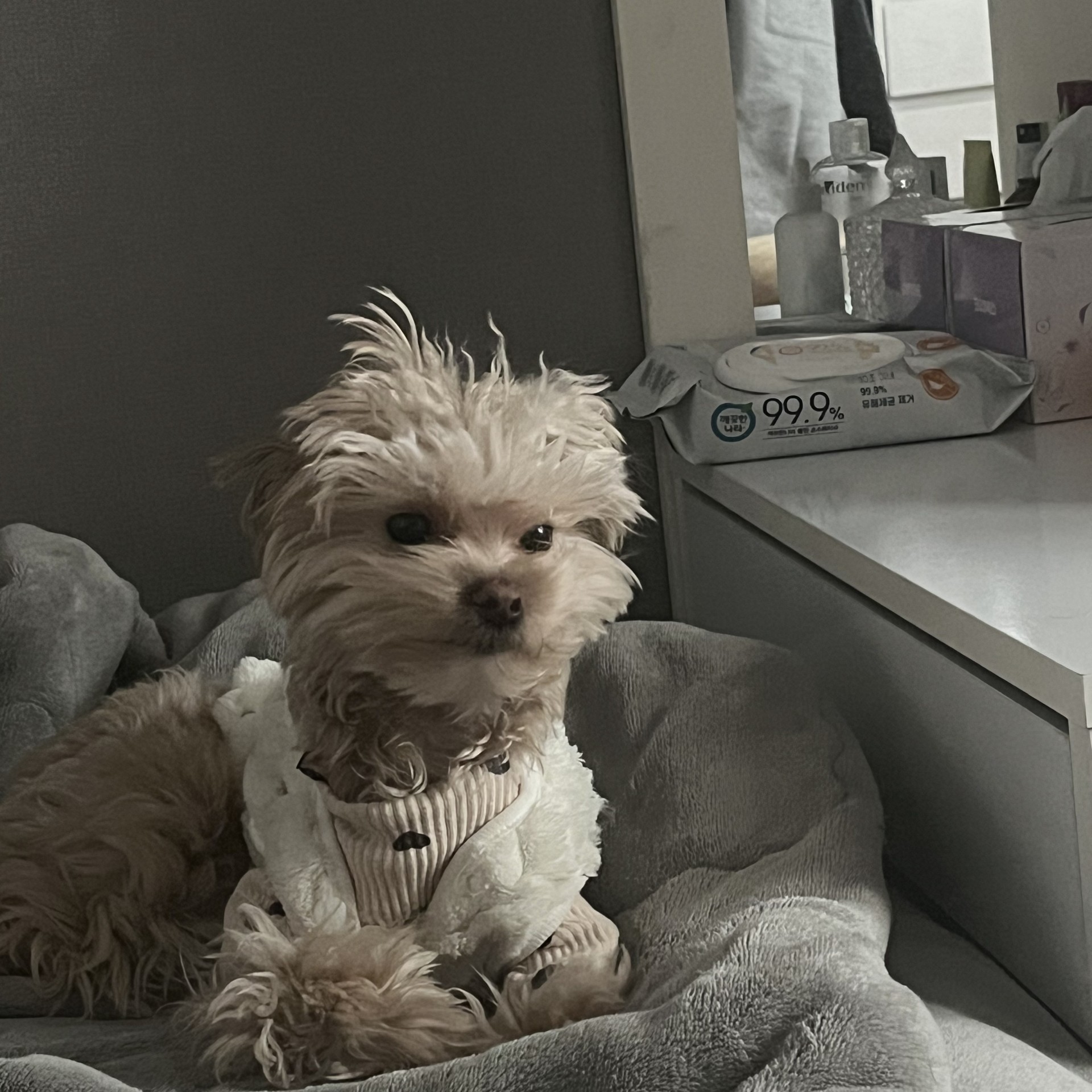 레전드오브리그