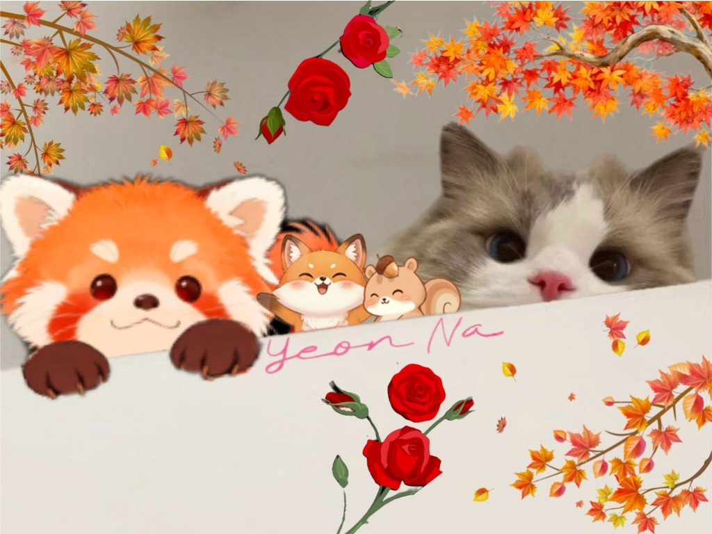 듣다가 잠들어도 좋아요. 