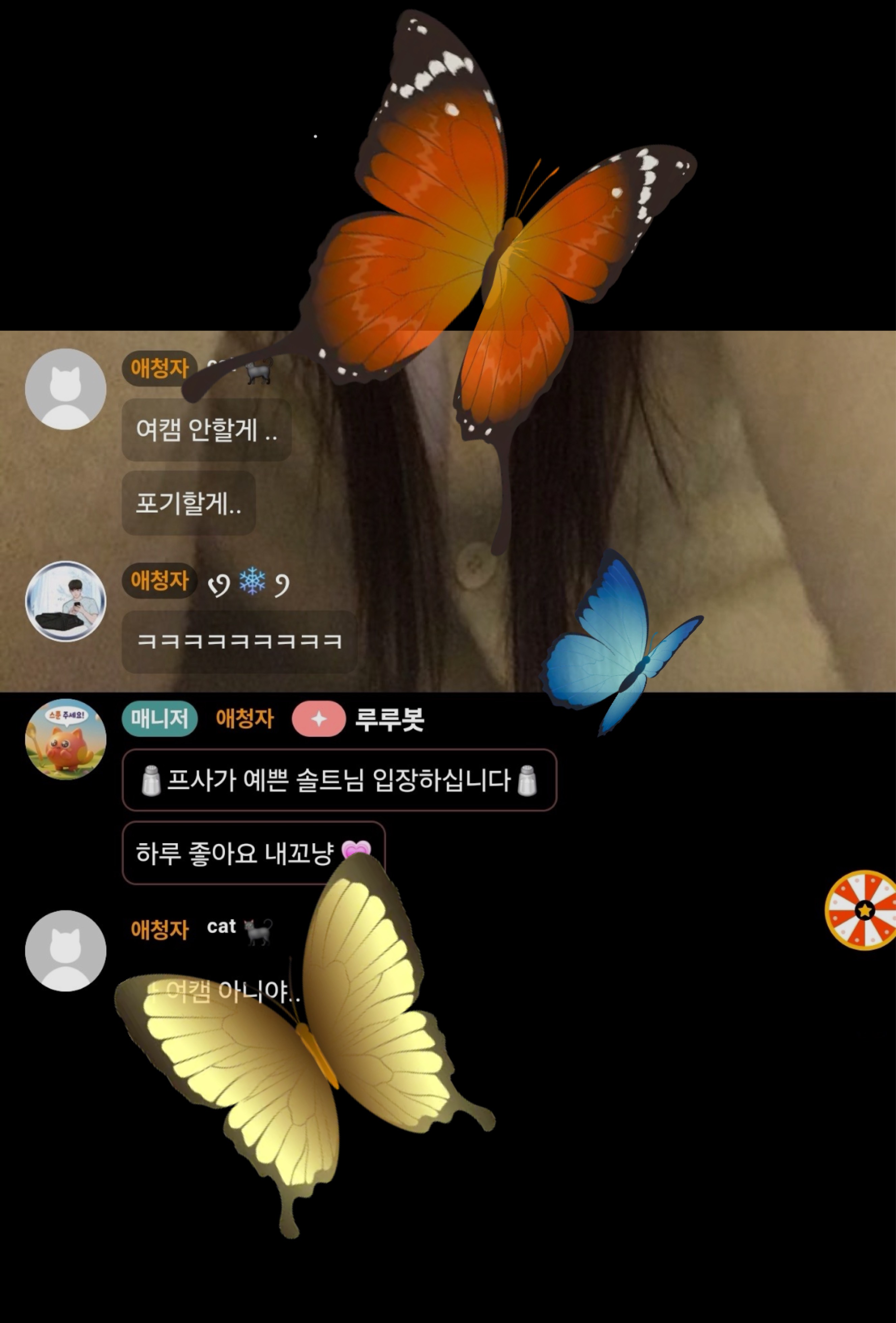 주말에도 냥냥하게 💗