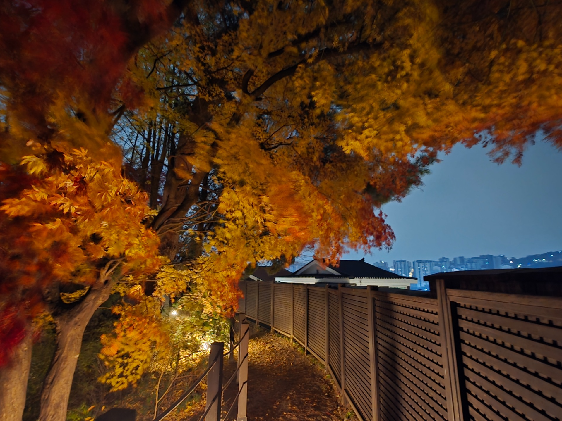 듣다가 잠들어도 좋아요. 