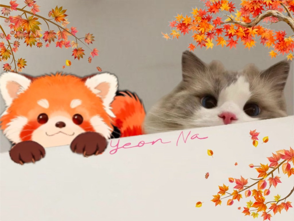 듣다가 잠들어도 좋아요. 