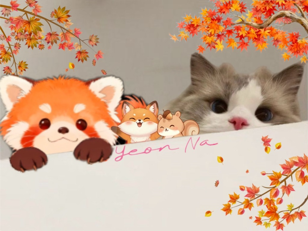 듣다가 잠들어도 좋아요. 