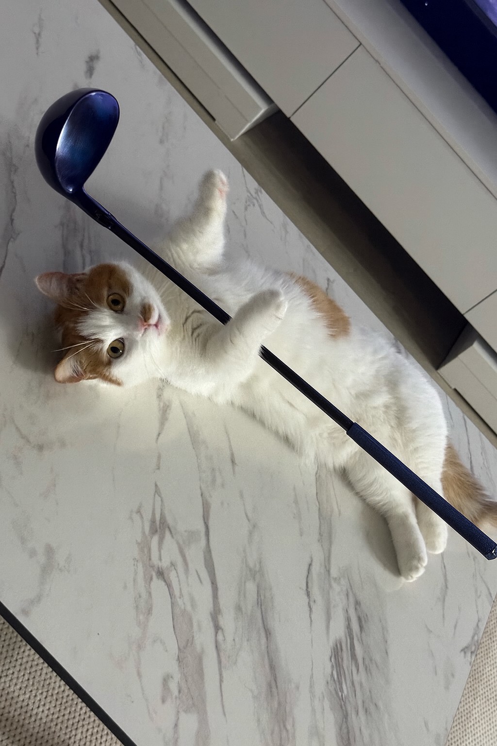 🕊️ 계속 보고싶은건