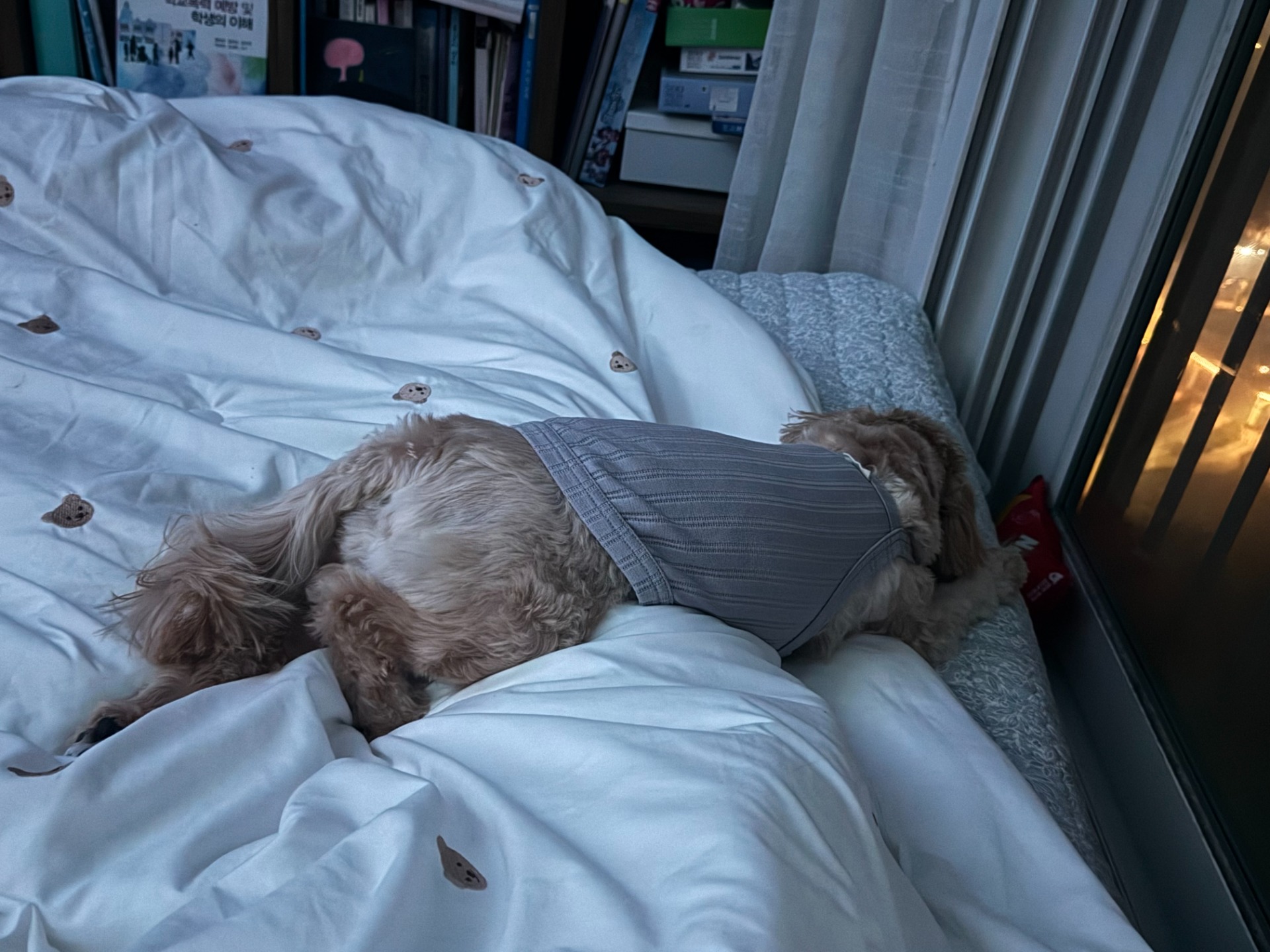 듣다가 잠들어도 좋아요. 