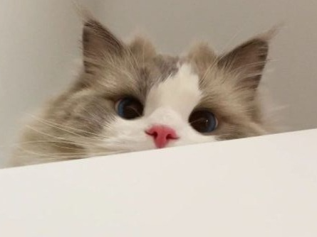 듣다가 잠들어도 좋아요. 