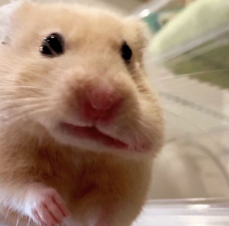 월요일 극복 플리