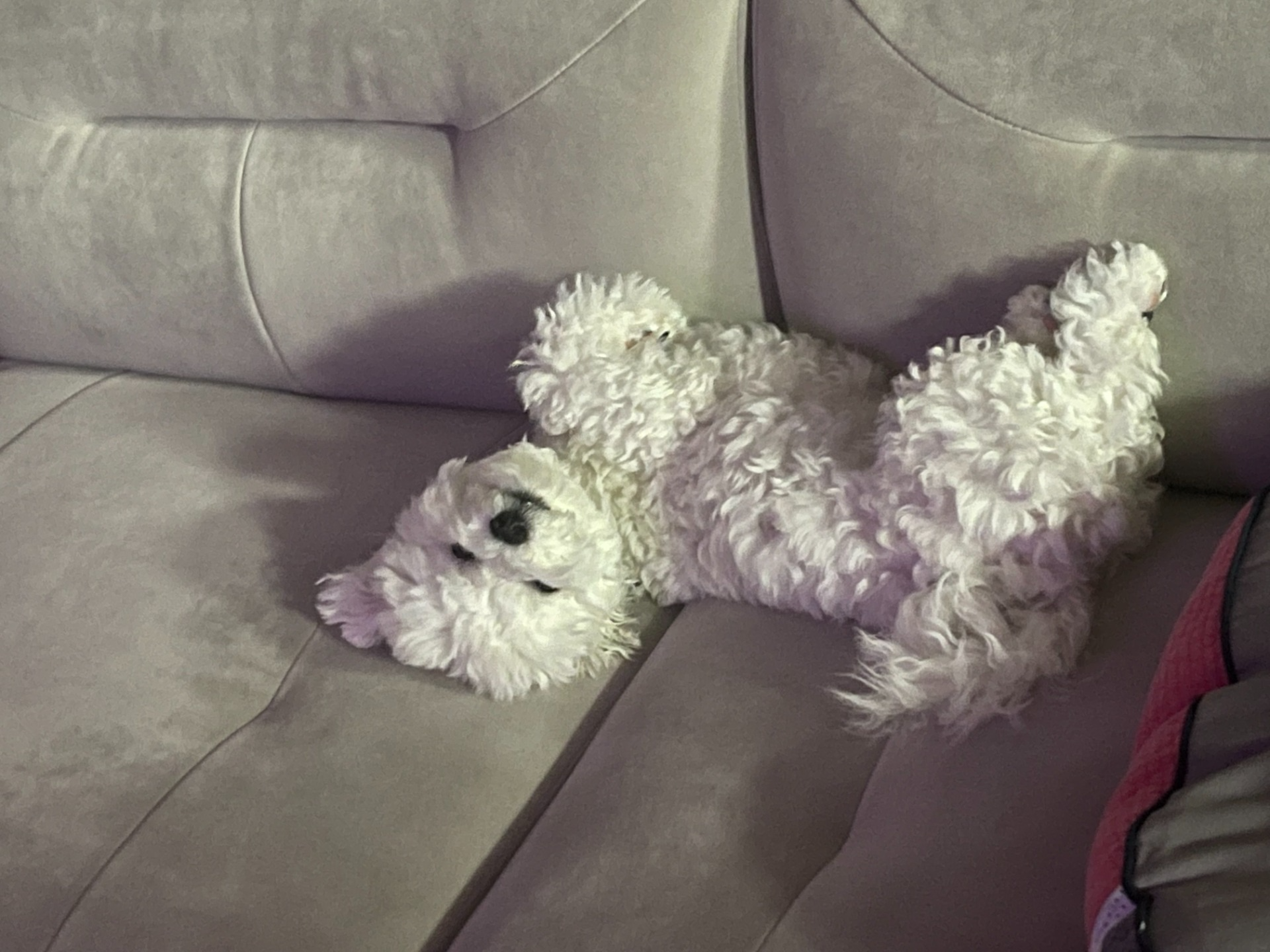 듣다가 잠들어도 좋아요. 