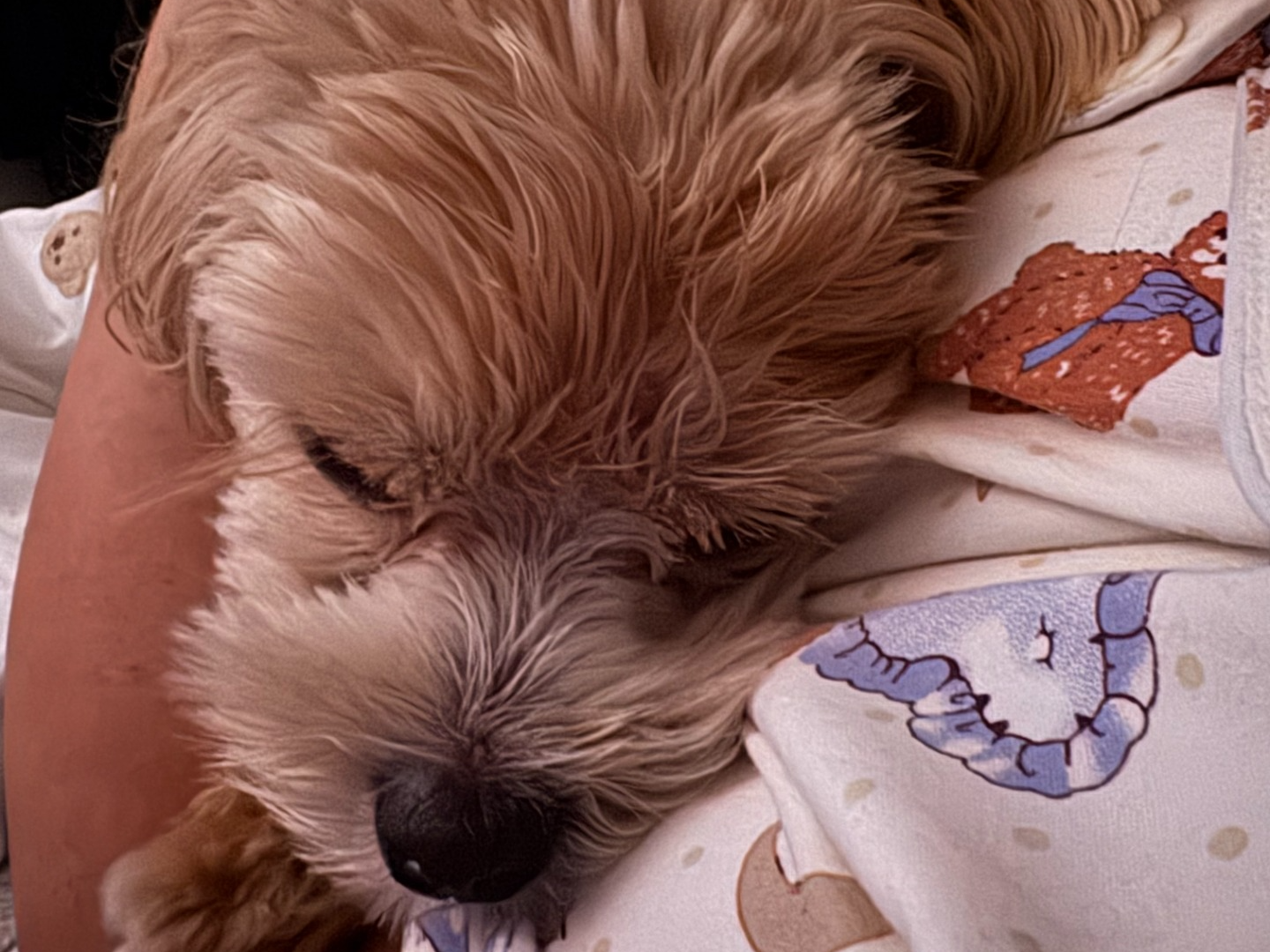 듣다가 잠들어도 좋아요.