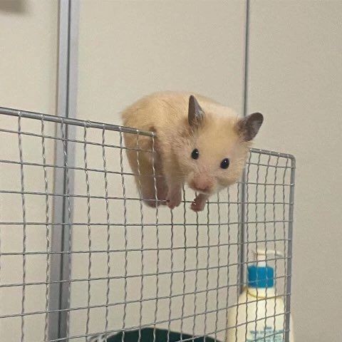 월요일 극복 플리