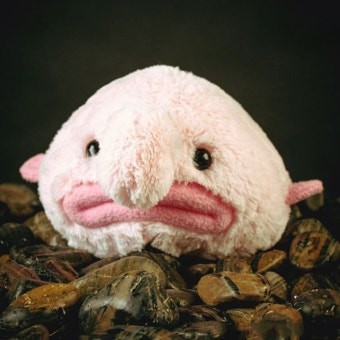 감사합니당 담좌 아이디 고고!!!