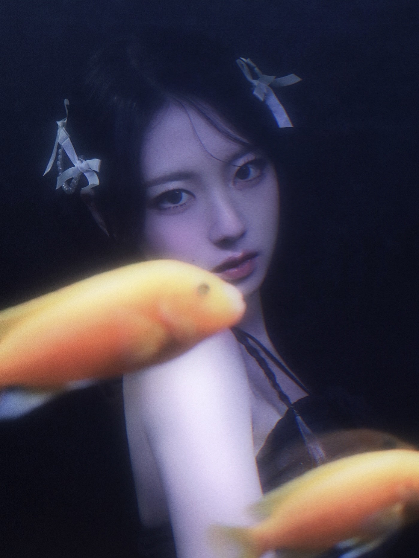 자몬다자몽다잠온댜 ?