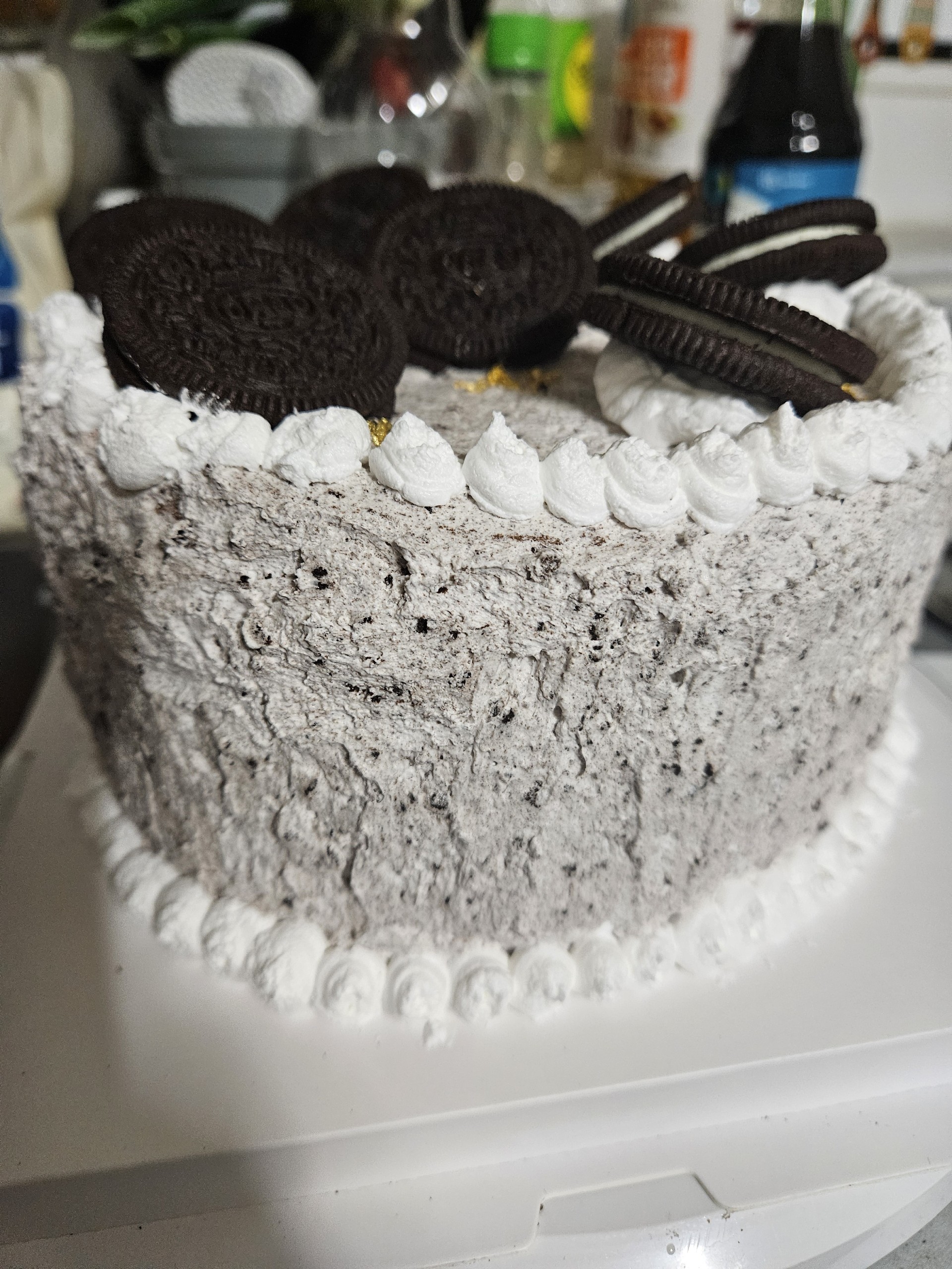 정규❤ 사랑해줄까?