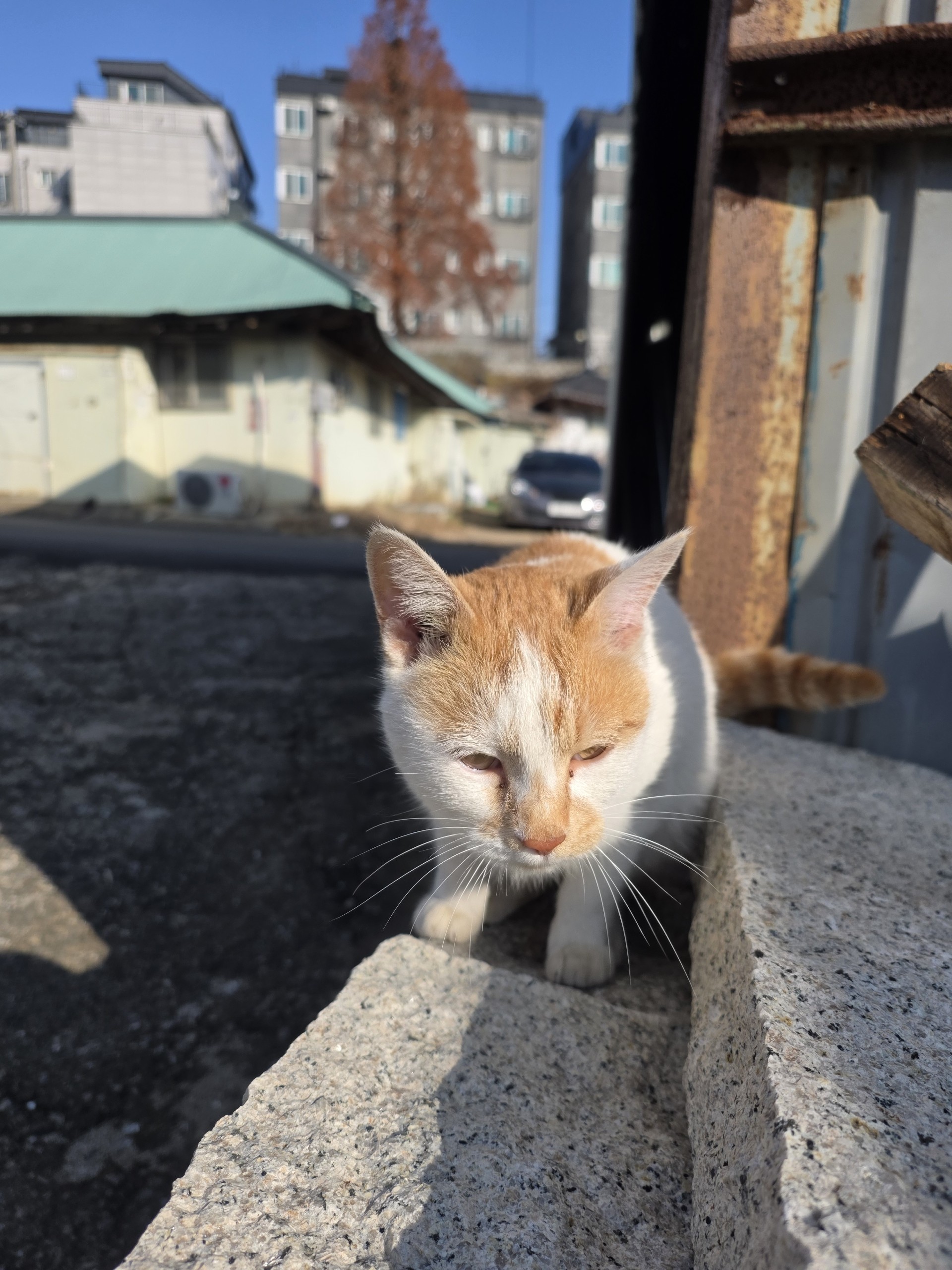 신청곡기다릴께 어떤 신청곡할꺼예요?