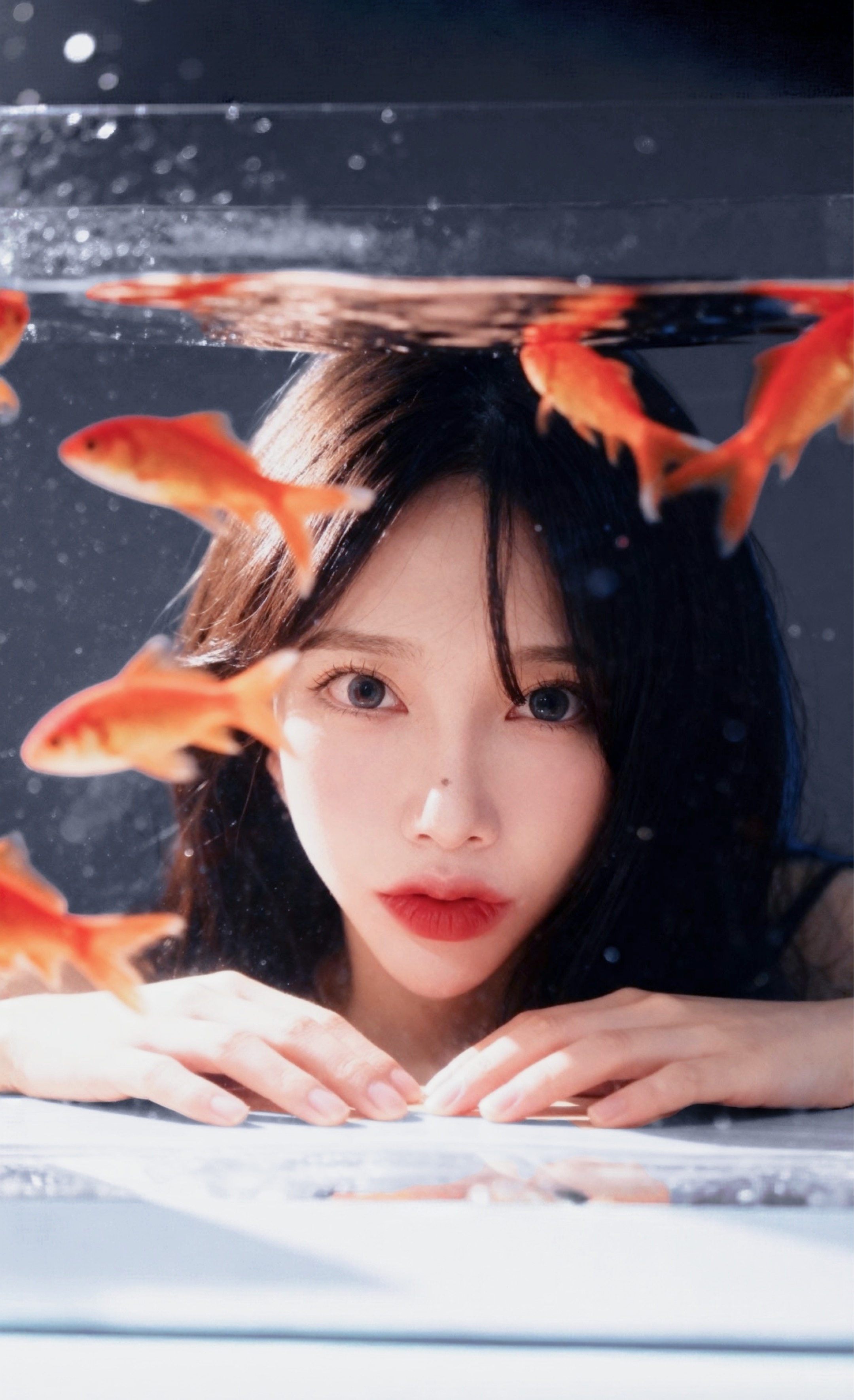 새 벽 반 모 여 랏