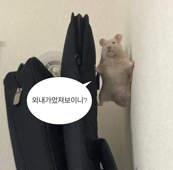 퇴근까지 한시간