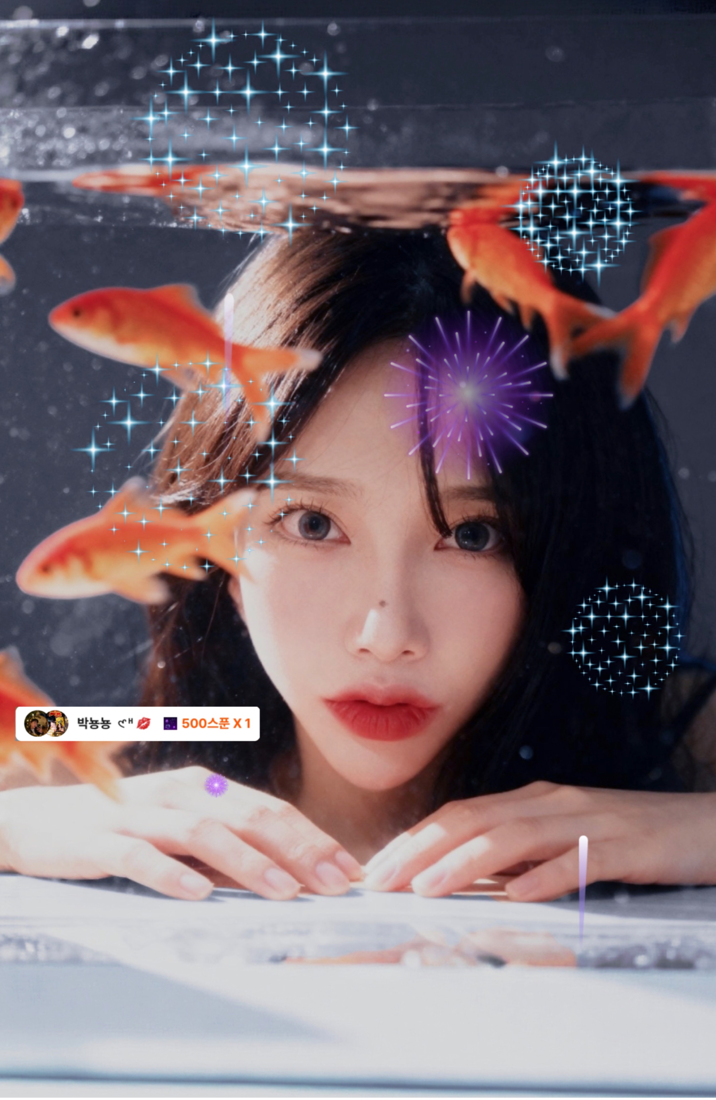 새 벽 반 모 여 랏