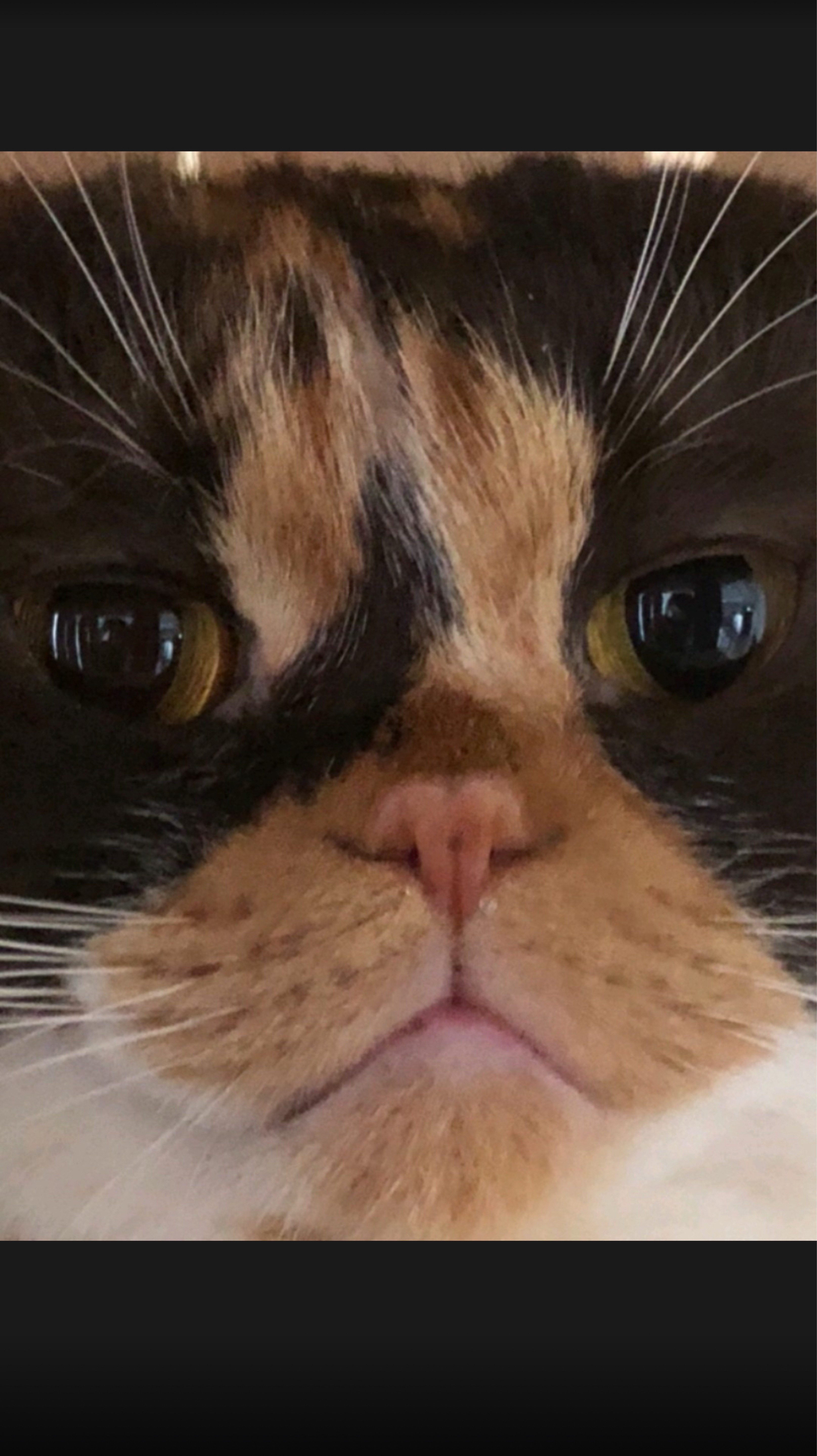 유머 수다 소통 ㅋㅋ!! 