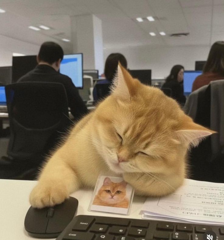 30+) 으어어어어어ㅓ